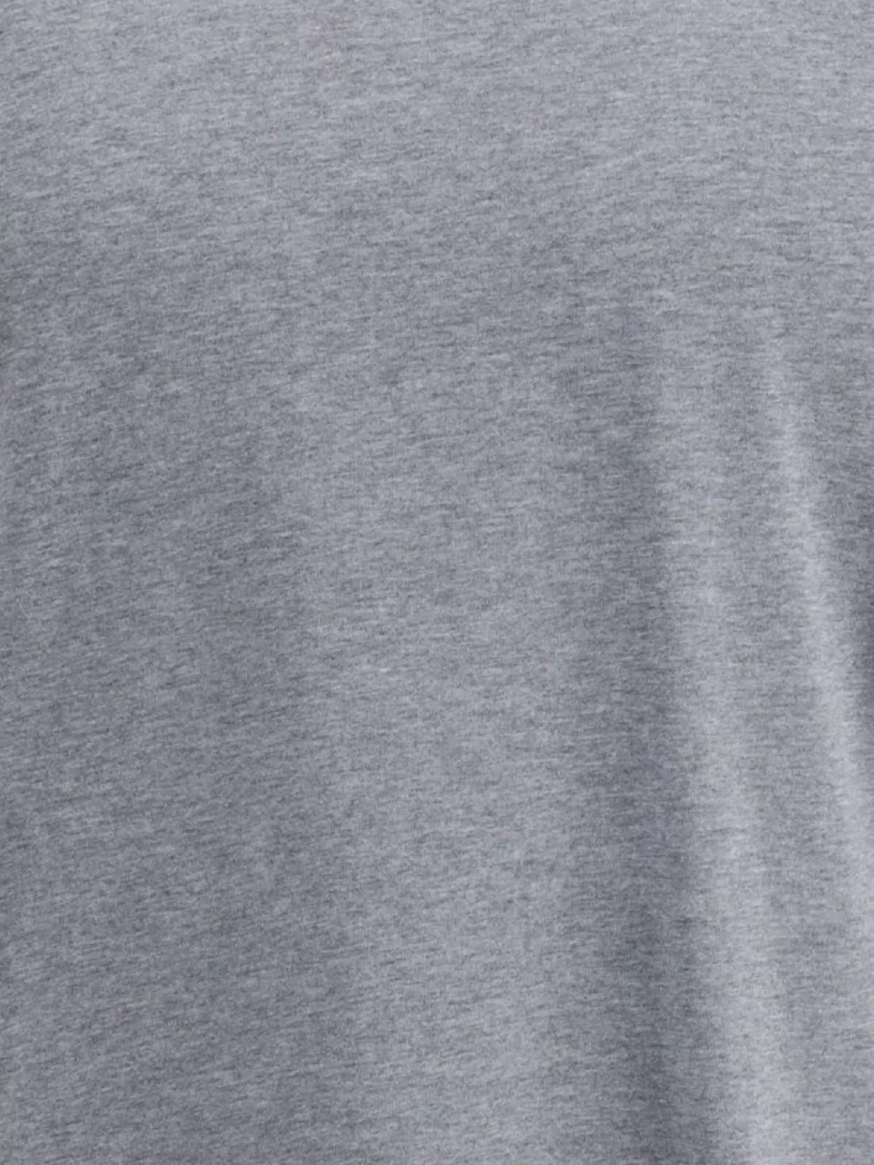 Brunello Cucinelli Clean Monochrome T-shirt Double Layer In Gray