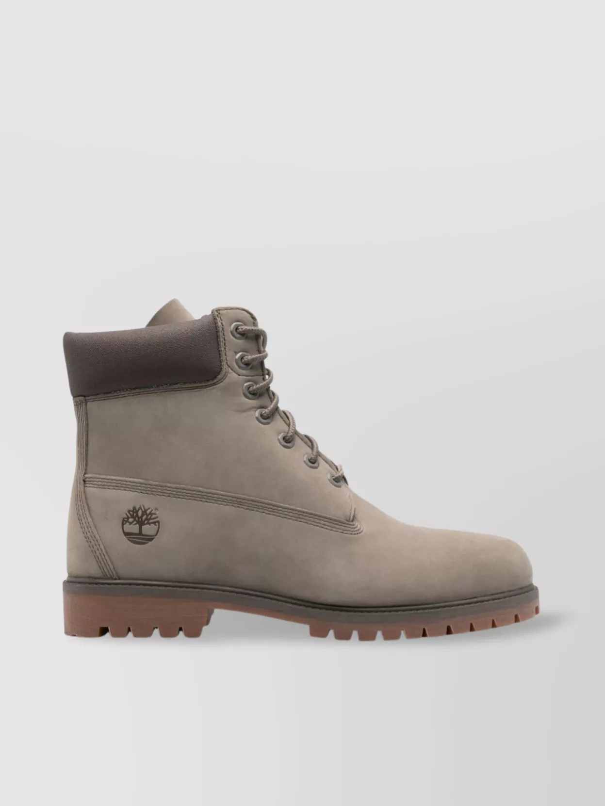 Shop Timberland 6 Inch Lace Up Waterproof Boot In Neutrals