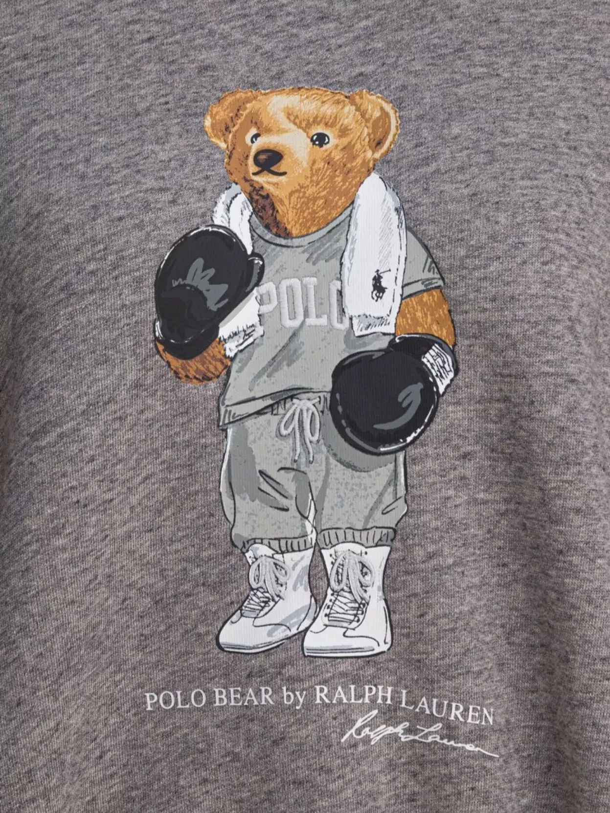 Polo Ralph Lauren Lspohood M2-long Sleeve-knit Sweatshirts Grey