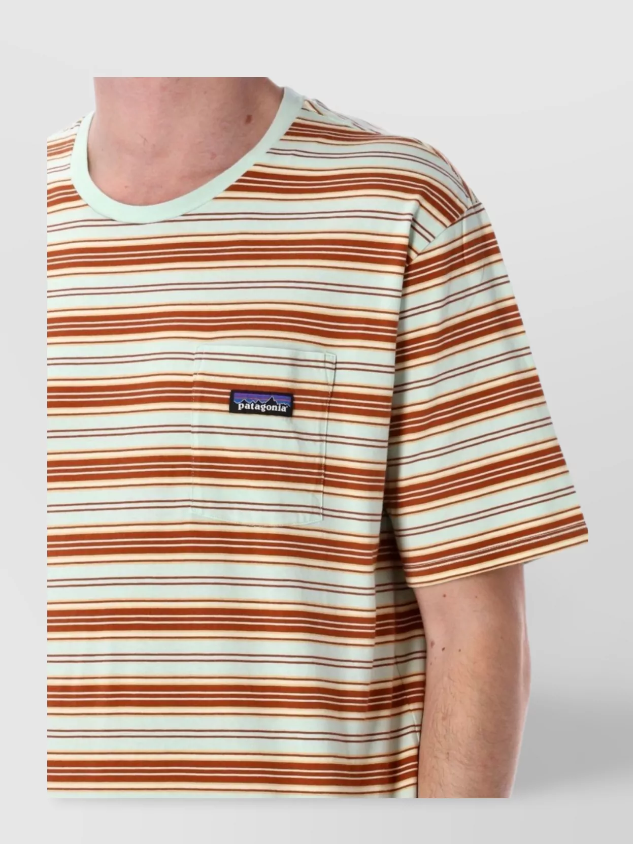 Patagonia Daily Striped Pocket T-Shirt