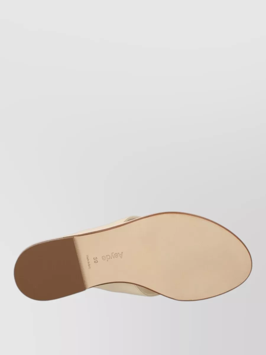 Aeyde Leather Flat Thong Sandal Open Toe In Neutral