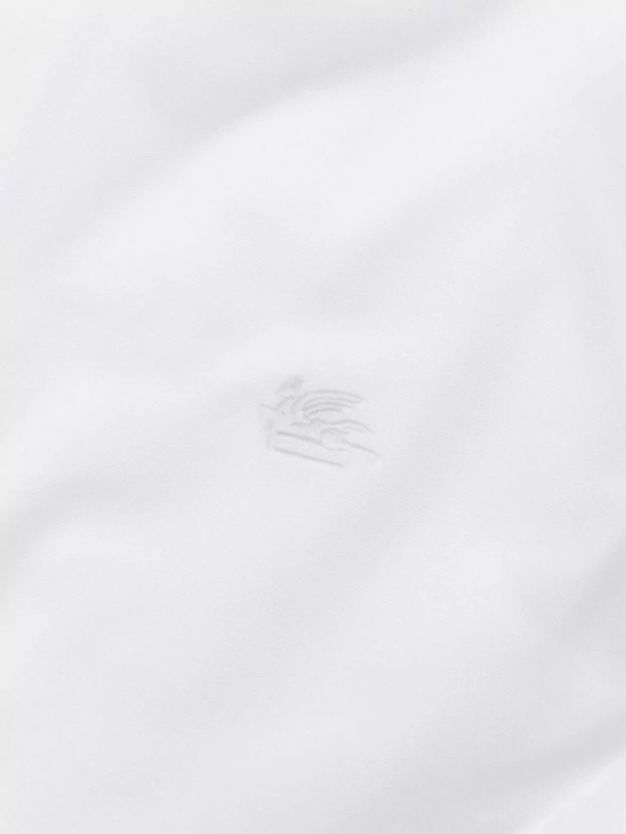 Etro Point Collar Shirt With Long Sleeves