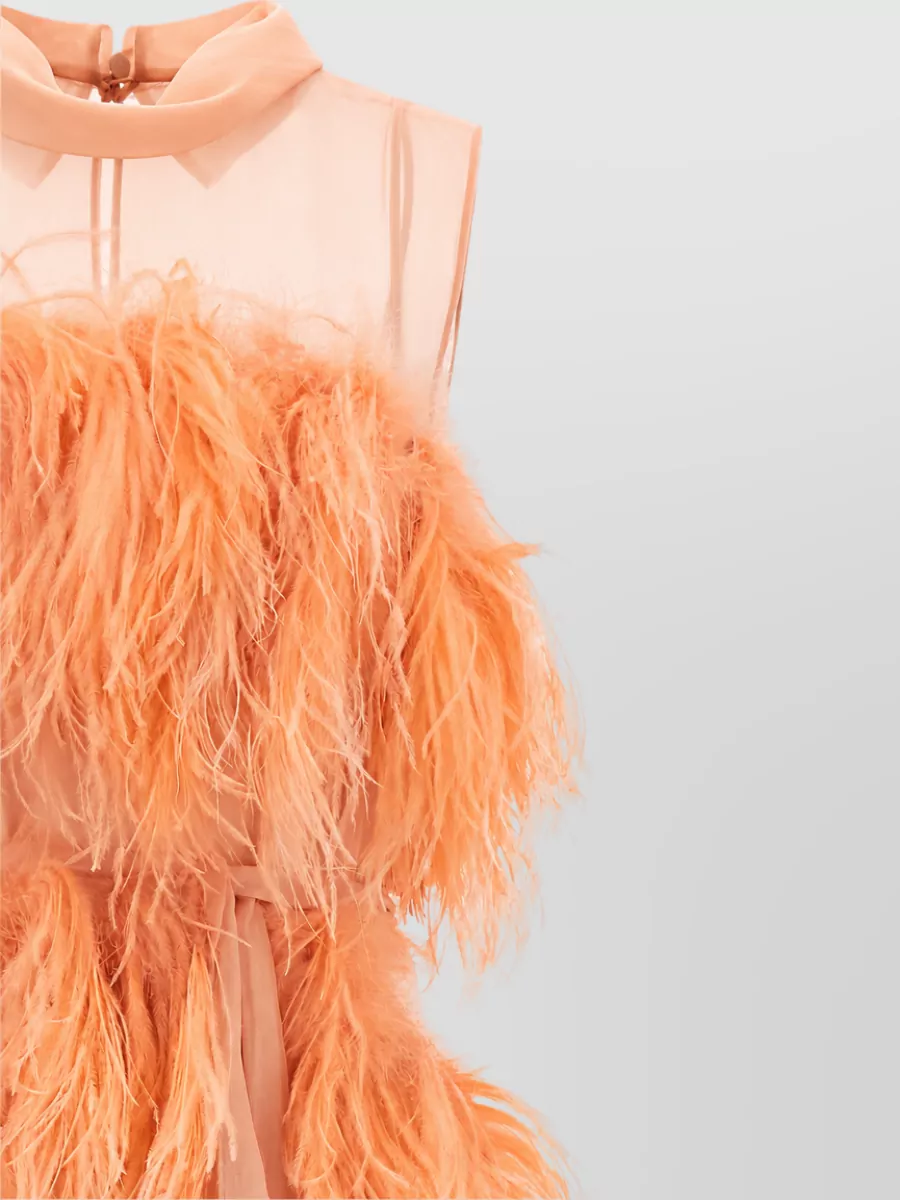 Alberta Ferretti Silk Sleeveless Feather-Embellished Chiffon Maxi Dress