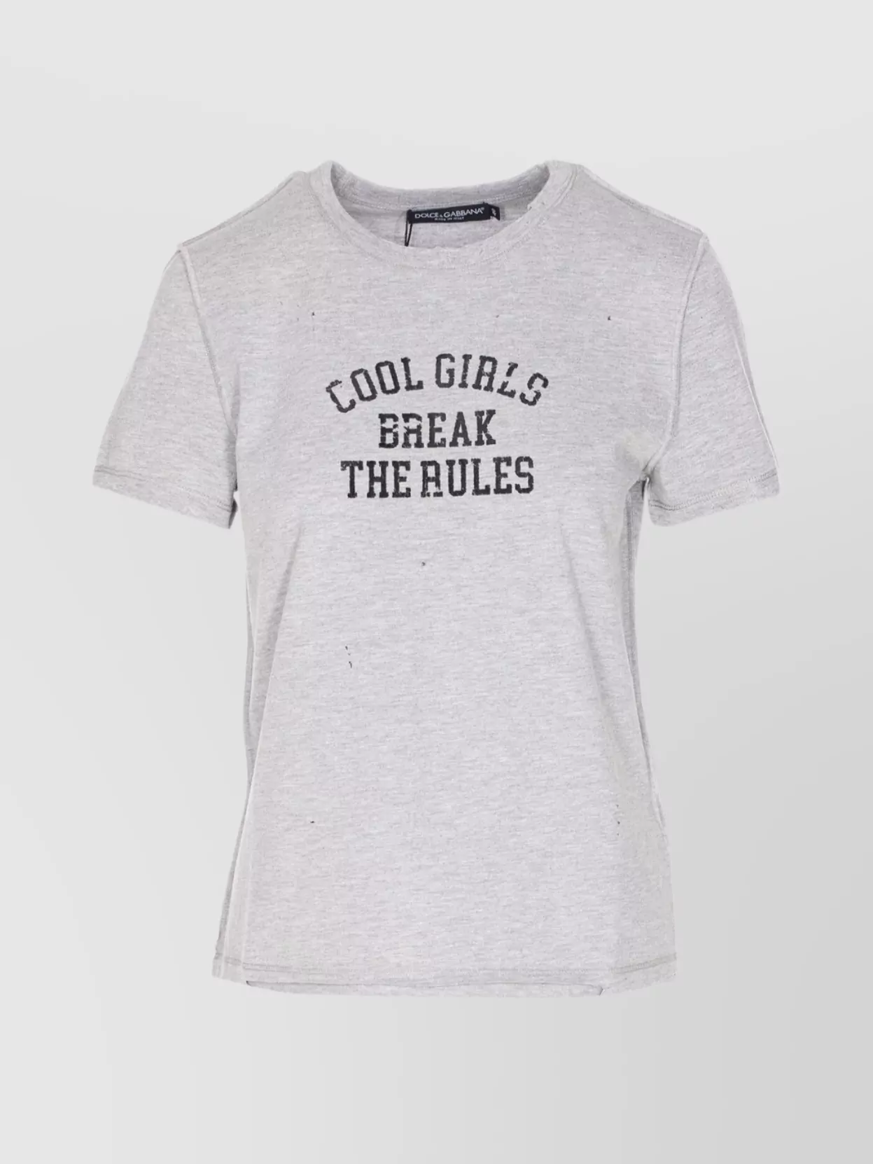 Dolce & Gabbana Graphic Print Casual Crewneck T-shirt In Gray