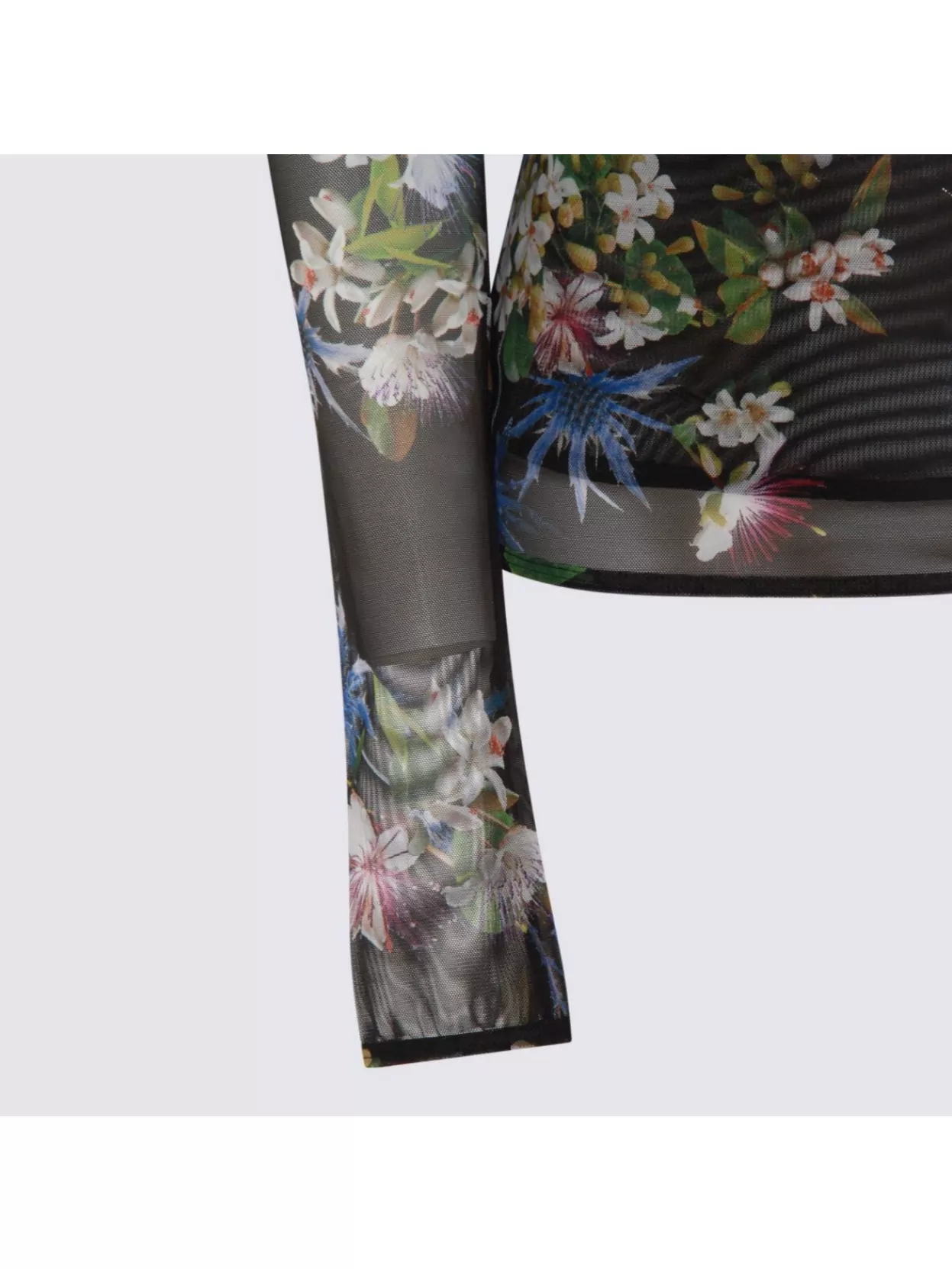 Blumarine Long Sleeve Floral Sheer Top