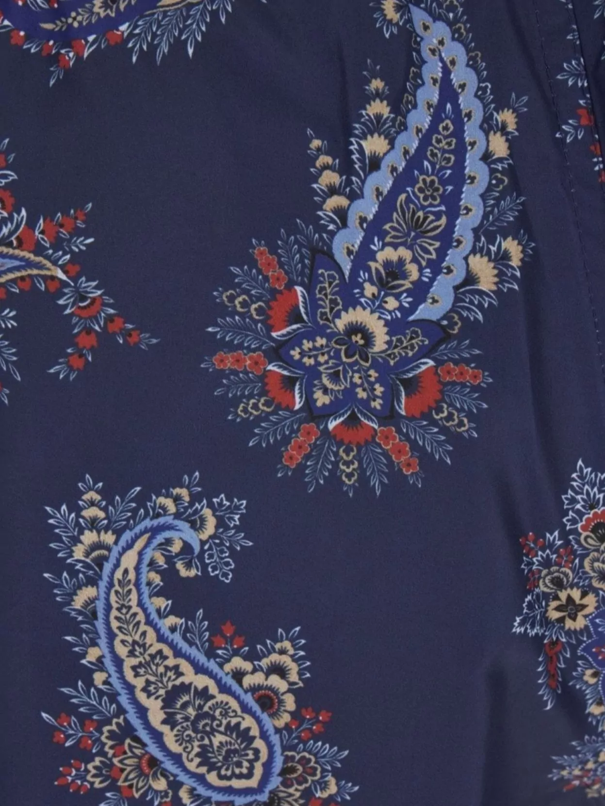 Etro Paisley Pattern Swim Shorts In Polyester