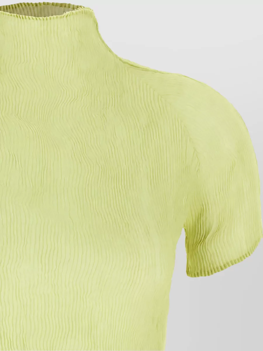 Issey Miyake Pleated High Neck Short Sleeve Top