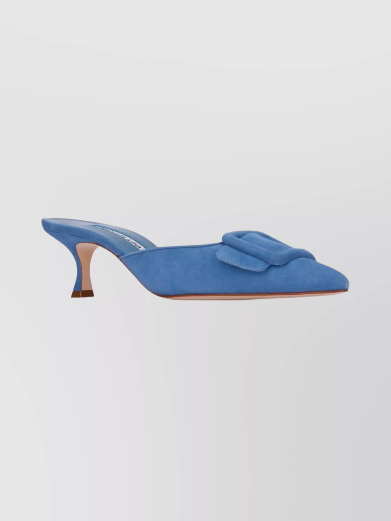 Manolo Blahnik Stylish Bow Kitten Heel Pumps In Blue