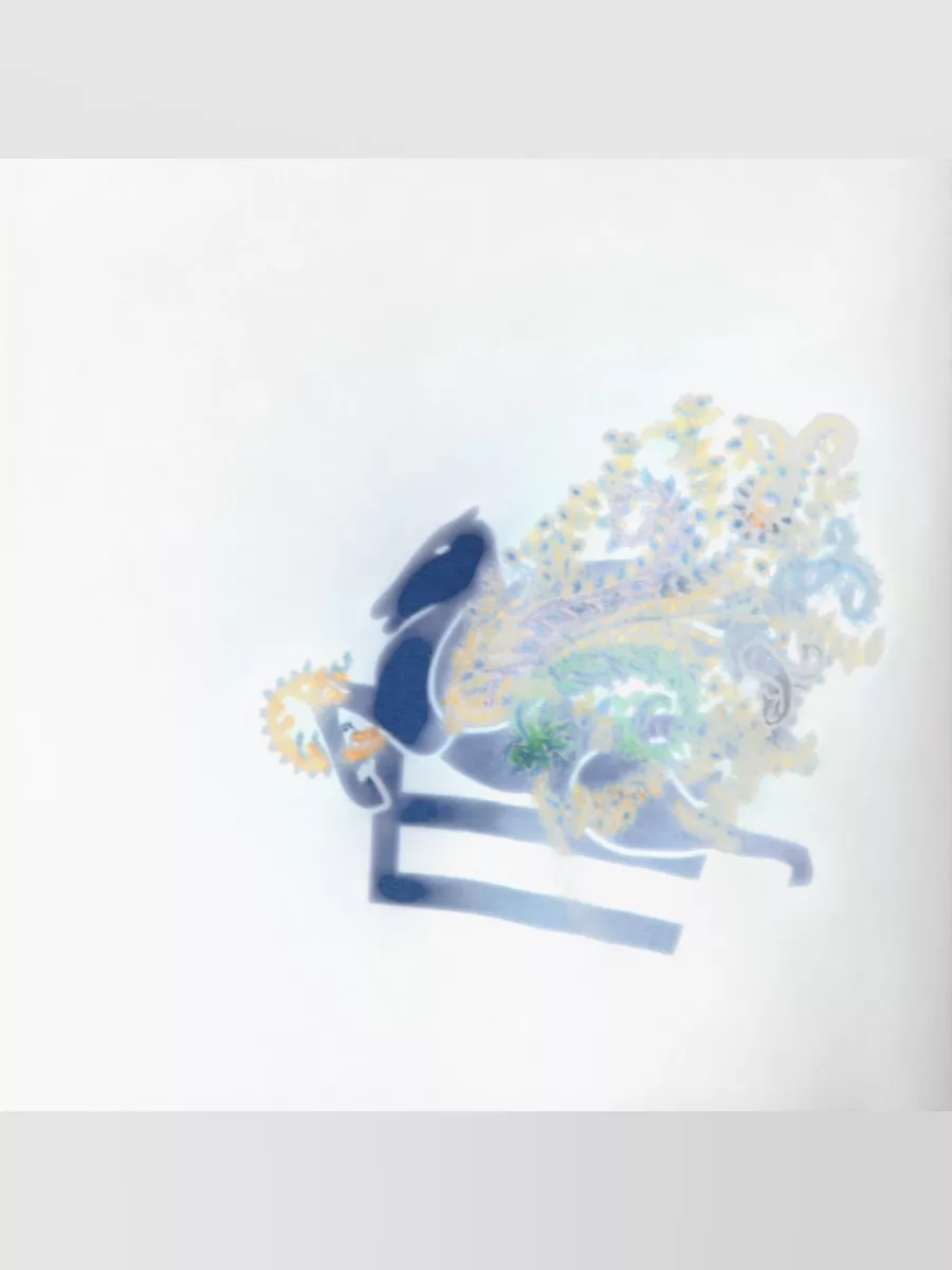 Etro Crew Neck Top Short Sleeve Embroidered