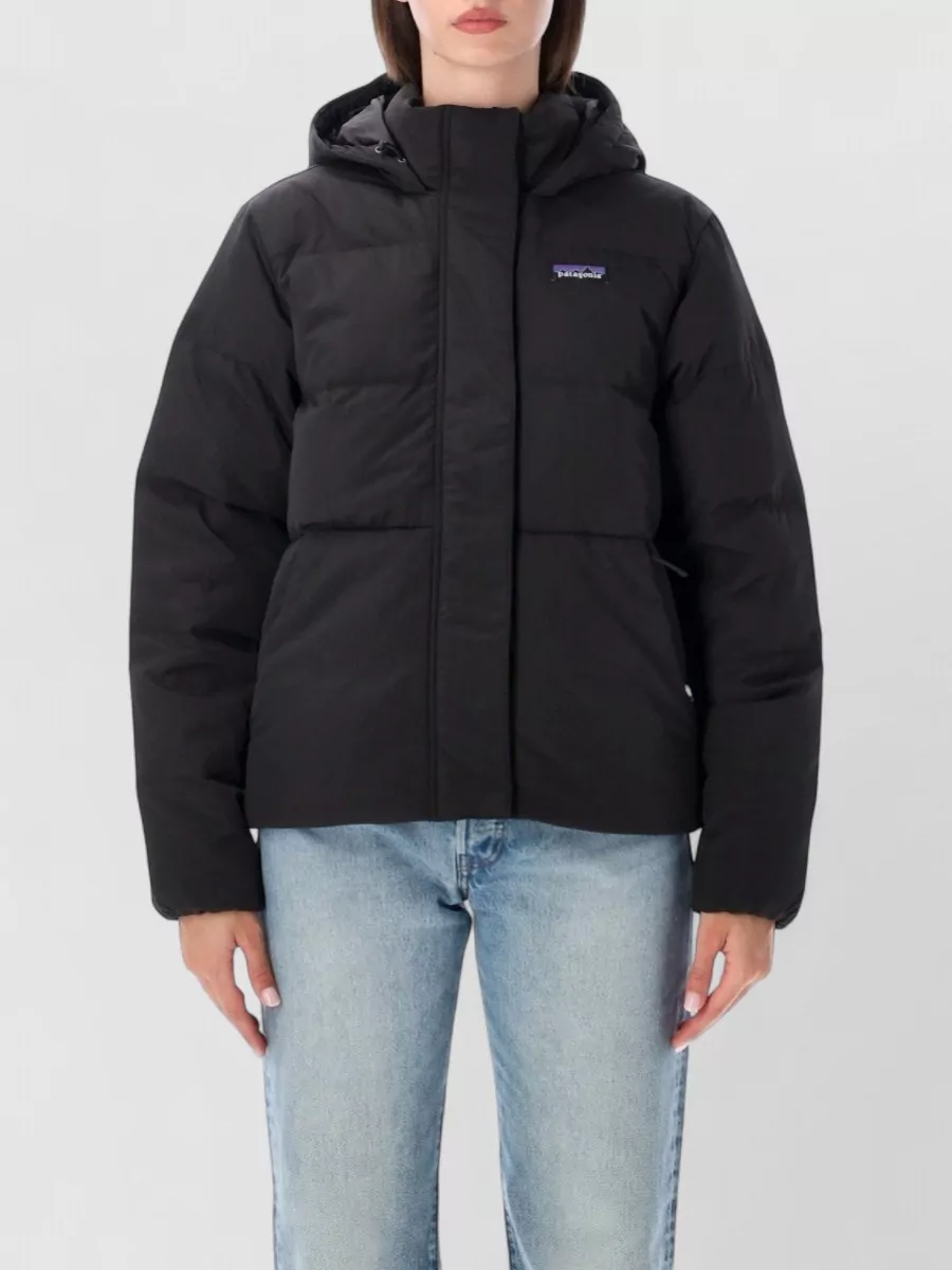 Patagonia down parka coat