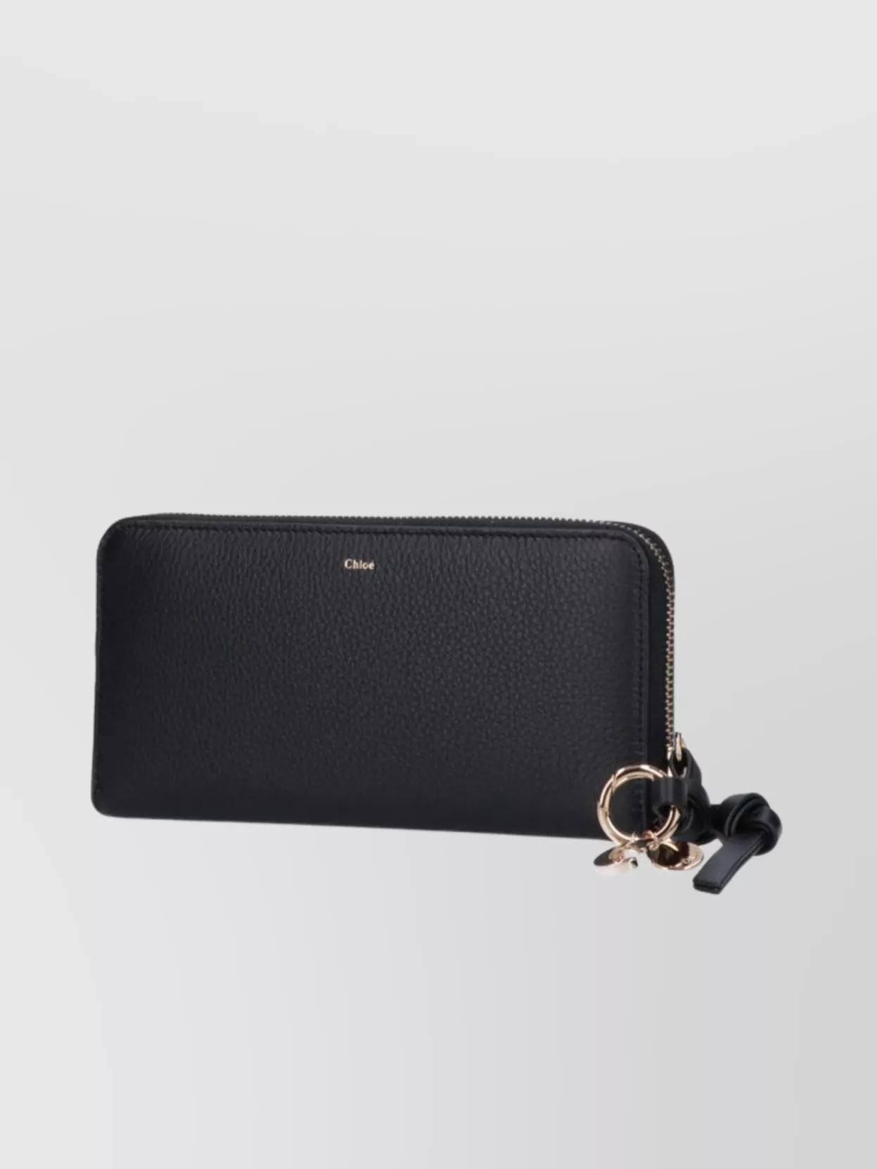 Chloé Textured Finish Gold-Tone Hardware Purses & Cardholders
