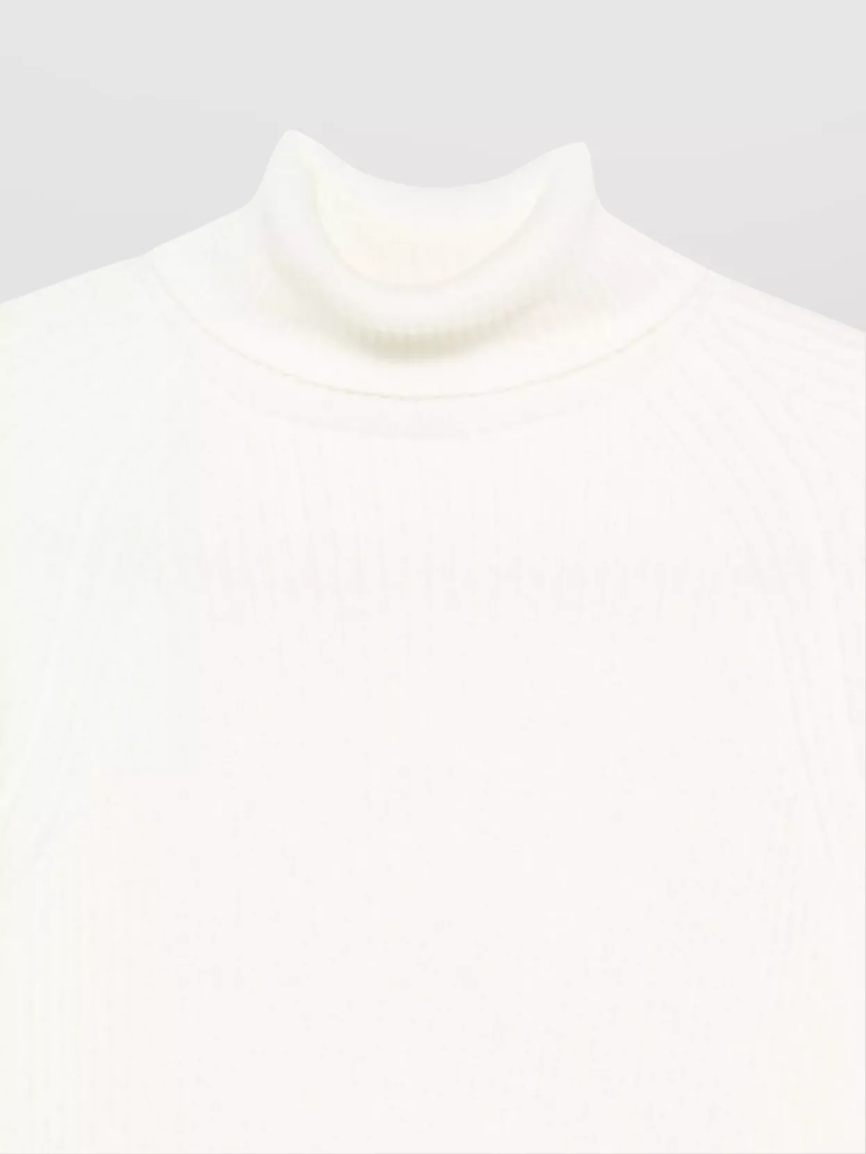 Zanone Cozy Turtleneck Sweater Long Sleeves