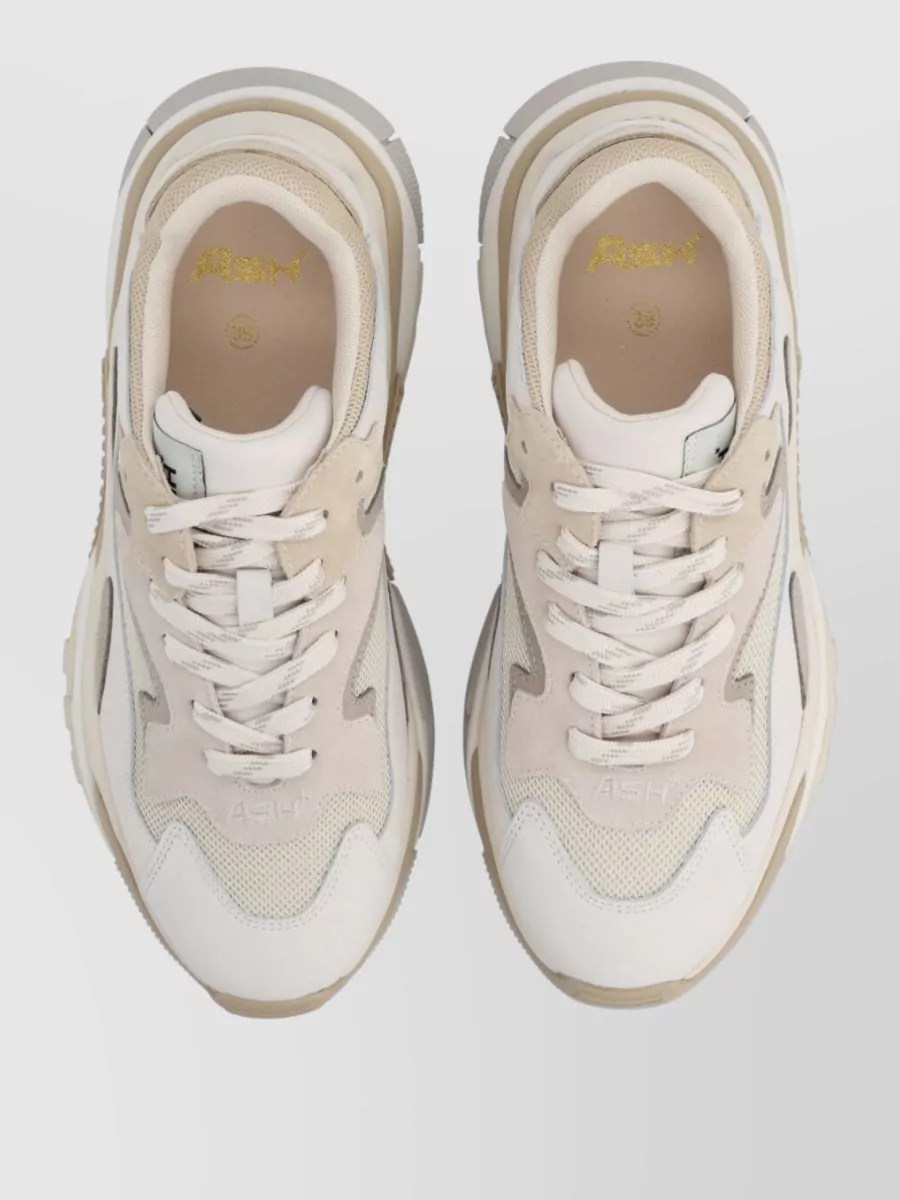 Ash Leather Low-Top Sneakers