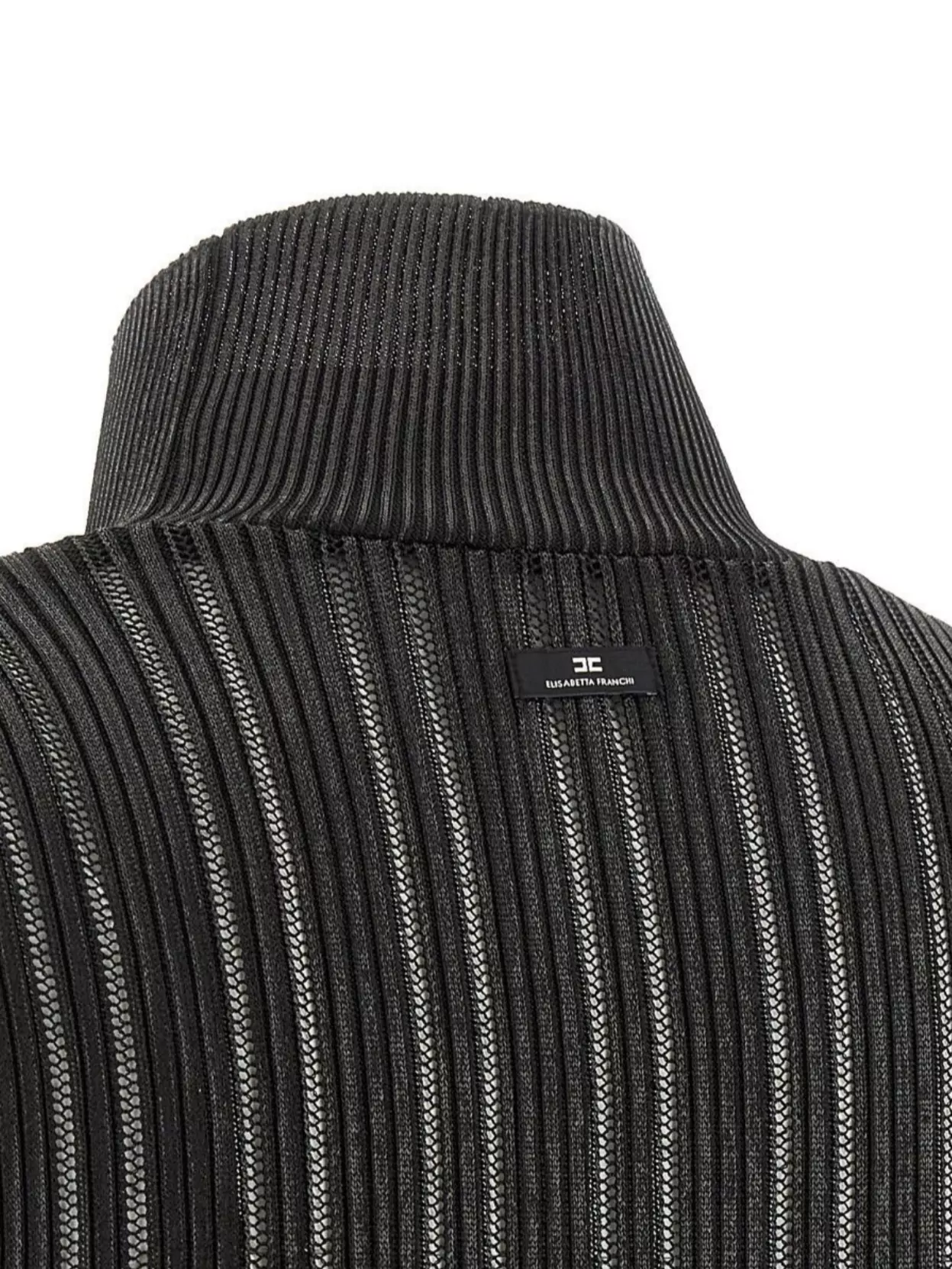 Elisabetta Franchi Knit Sweater With Long Sleeves And High Neck
