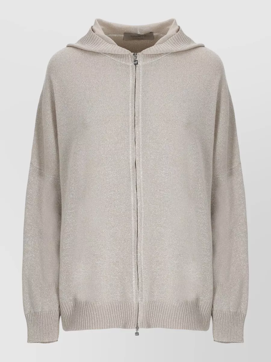D.exterior Lurex Hooded Zip-Up Sweatshirt