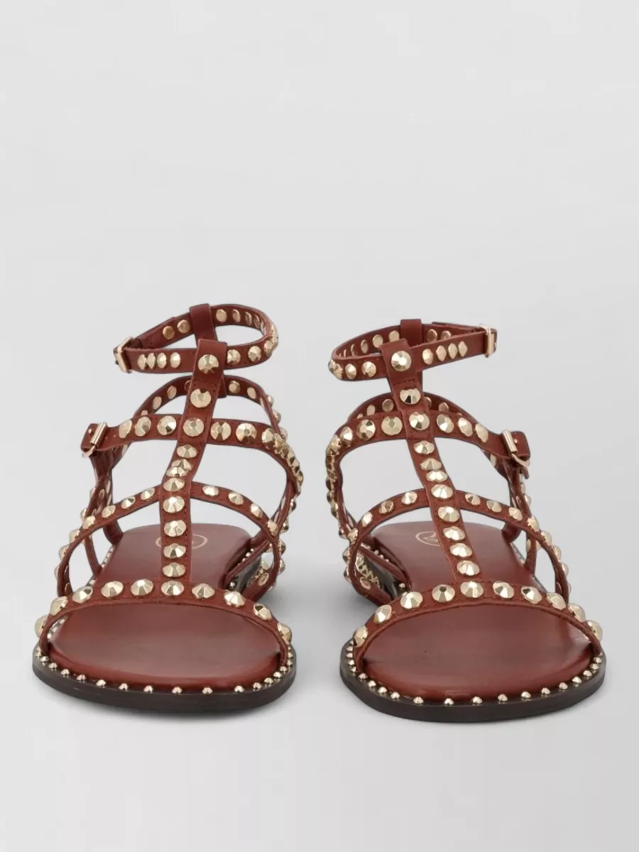 Ash leather gladiator sandals