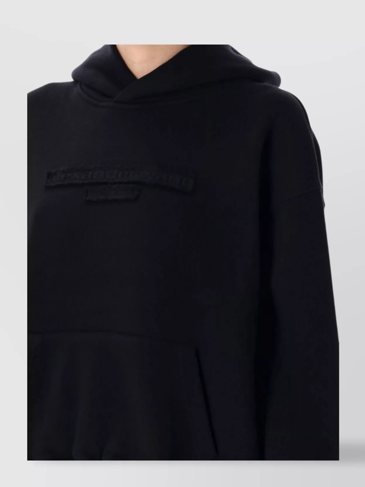 Alexander Wang Hooded Logo Hoodie Design