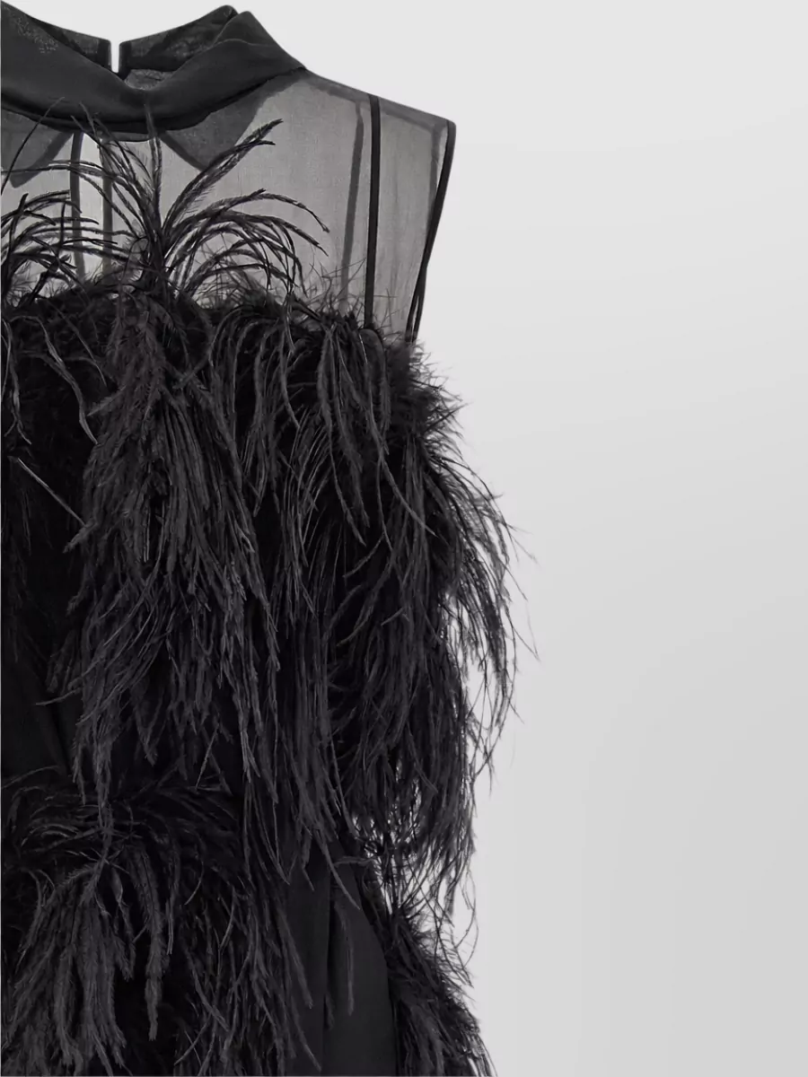 Alberta Ferretti Silk Chiffon Feather-Embellished Sleeveless Maxi Dress