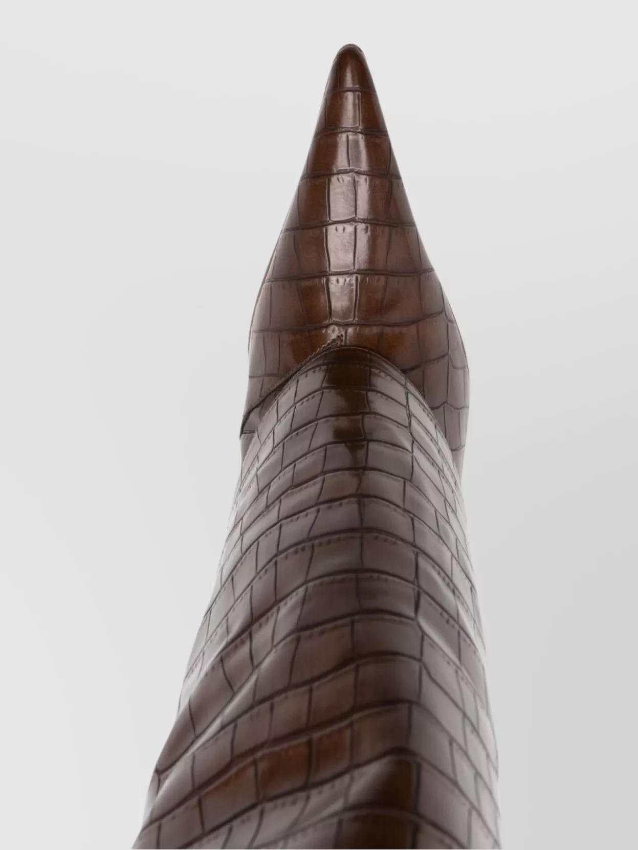 Gia Borghini Ros 31 Crocodile Effect Knee High Boots