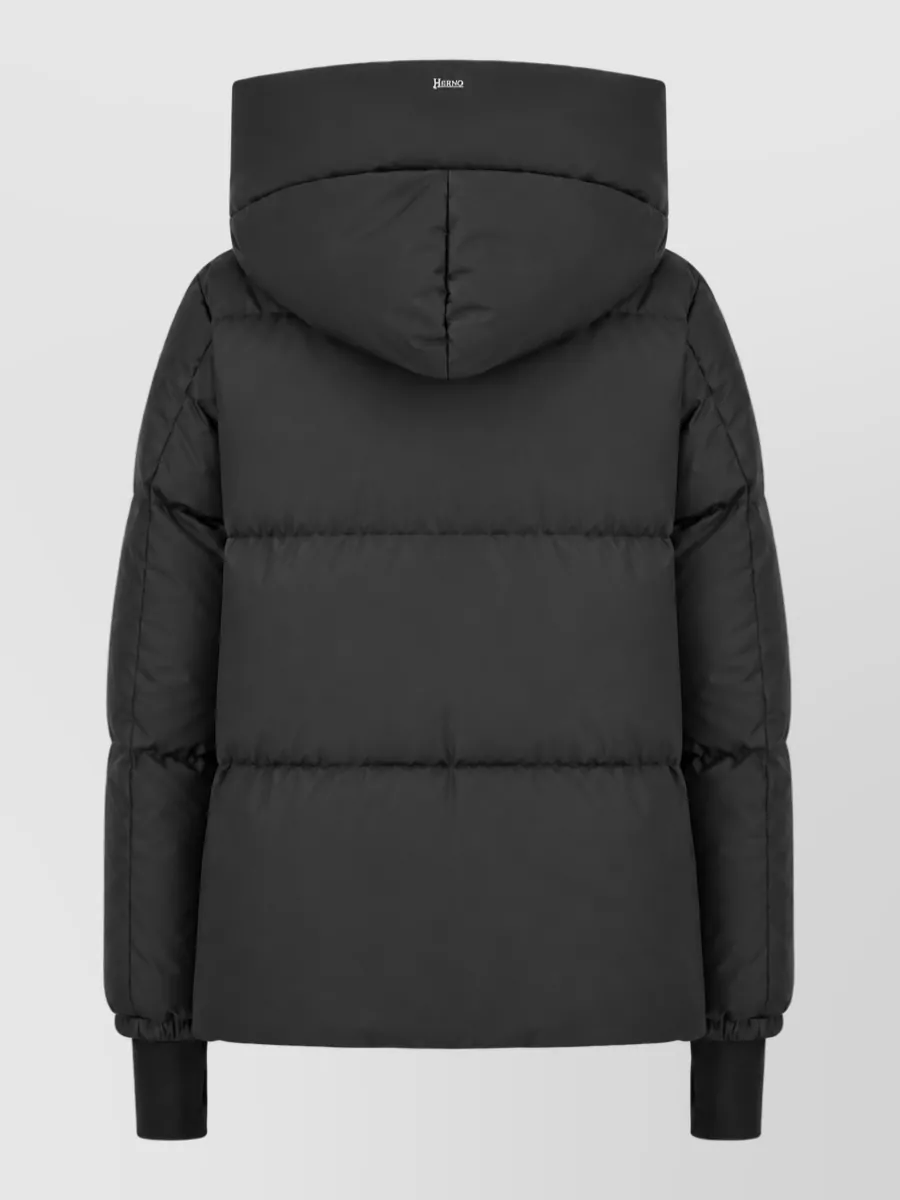 Herno Hooded Puffer Jacket
