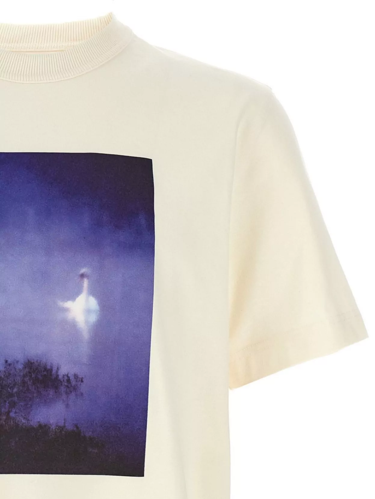 Shop Barbour Noah X Archive Swan T-shirt