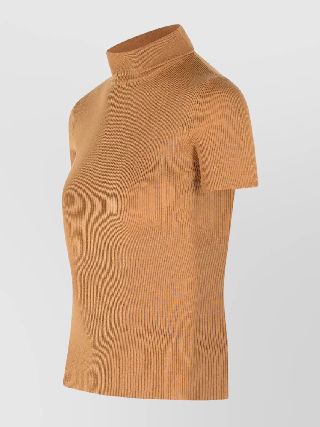 Max Mara Knitwear Turtleneck Sweater Short Sleeves In Neutral