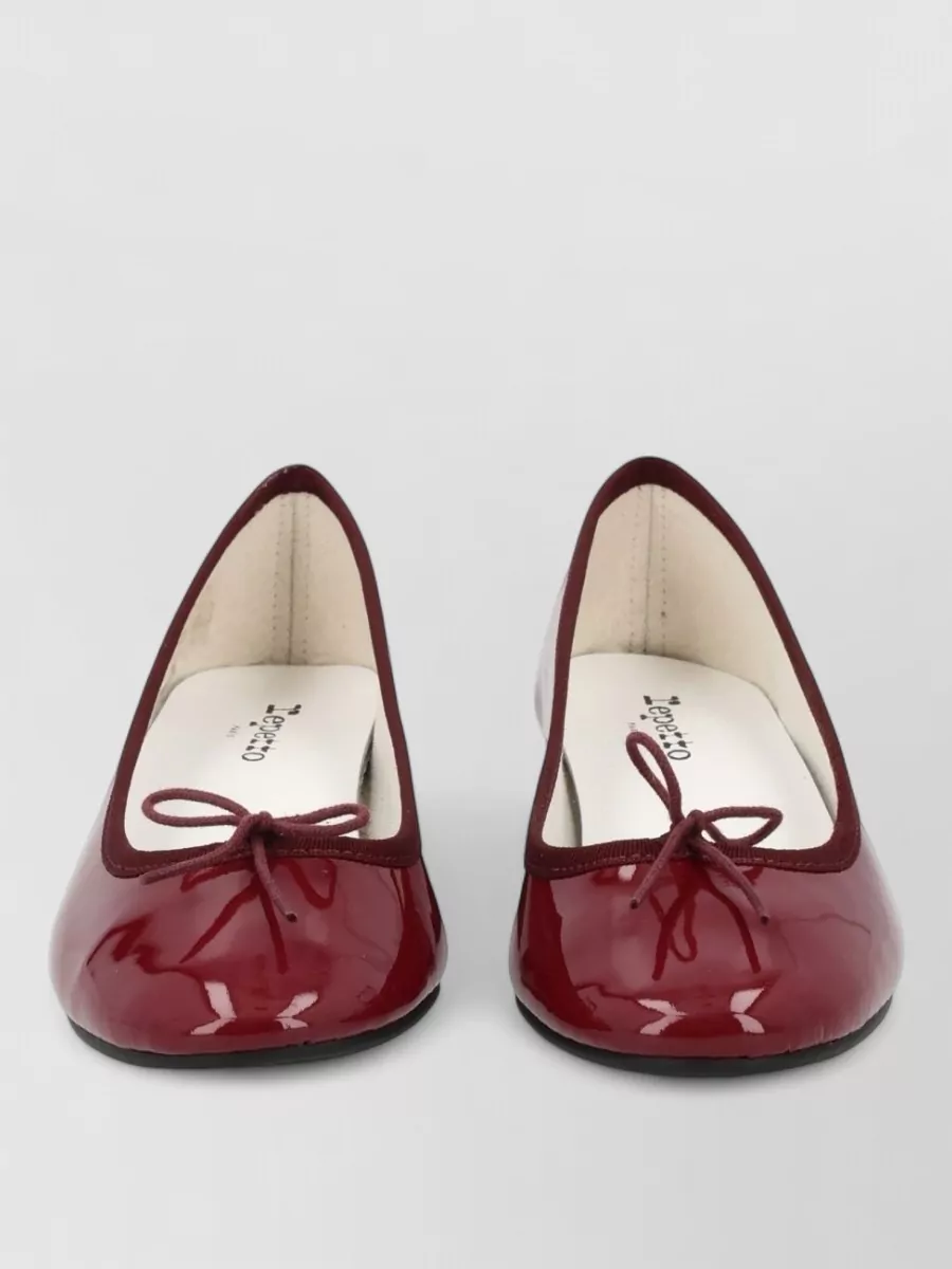 Repetto Leather Ballerina Shoes