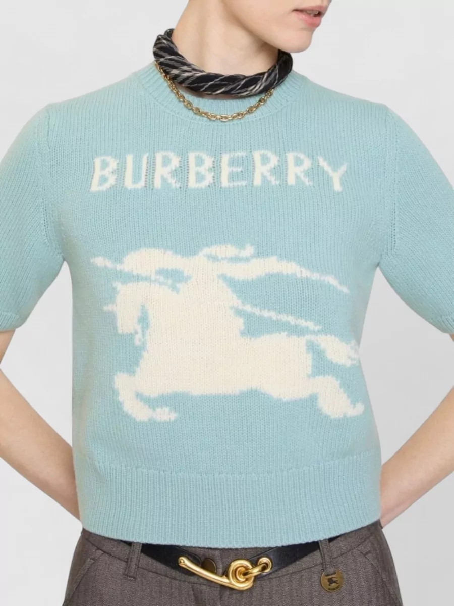 Burberry Cashmere Wool Short-Sleeve Ribbed Crew-Neck Sweater