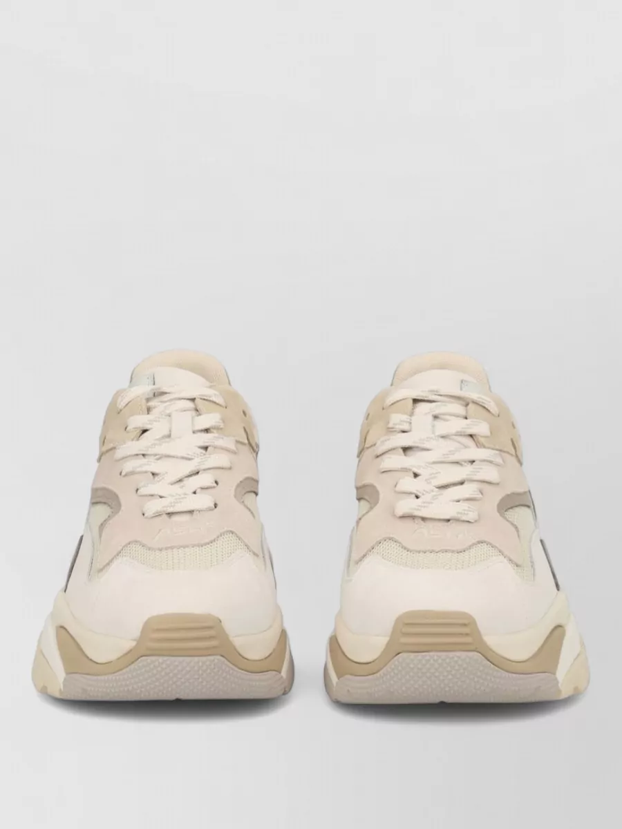 Ash leather low-top sneakers