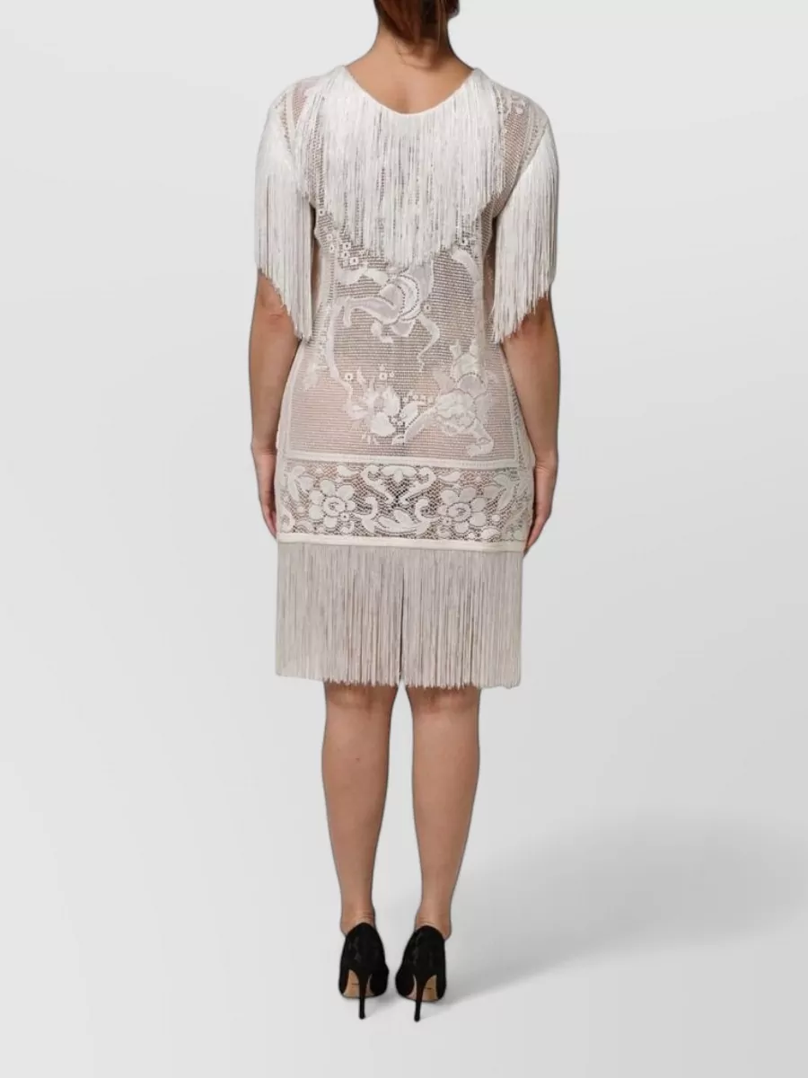 Dolce&Gabbana Floral Lace Fringe Knee-Length Dress