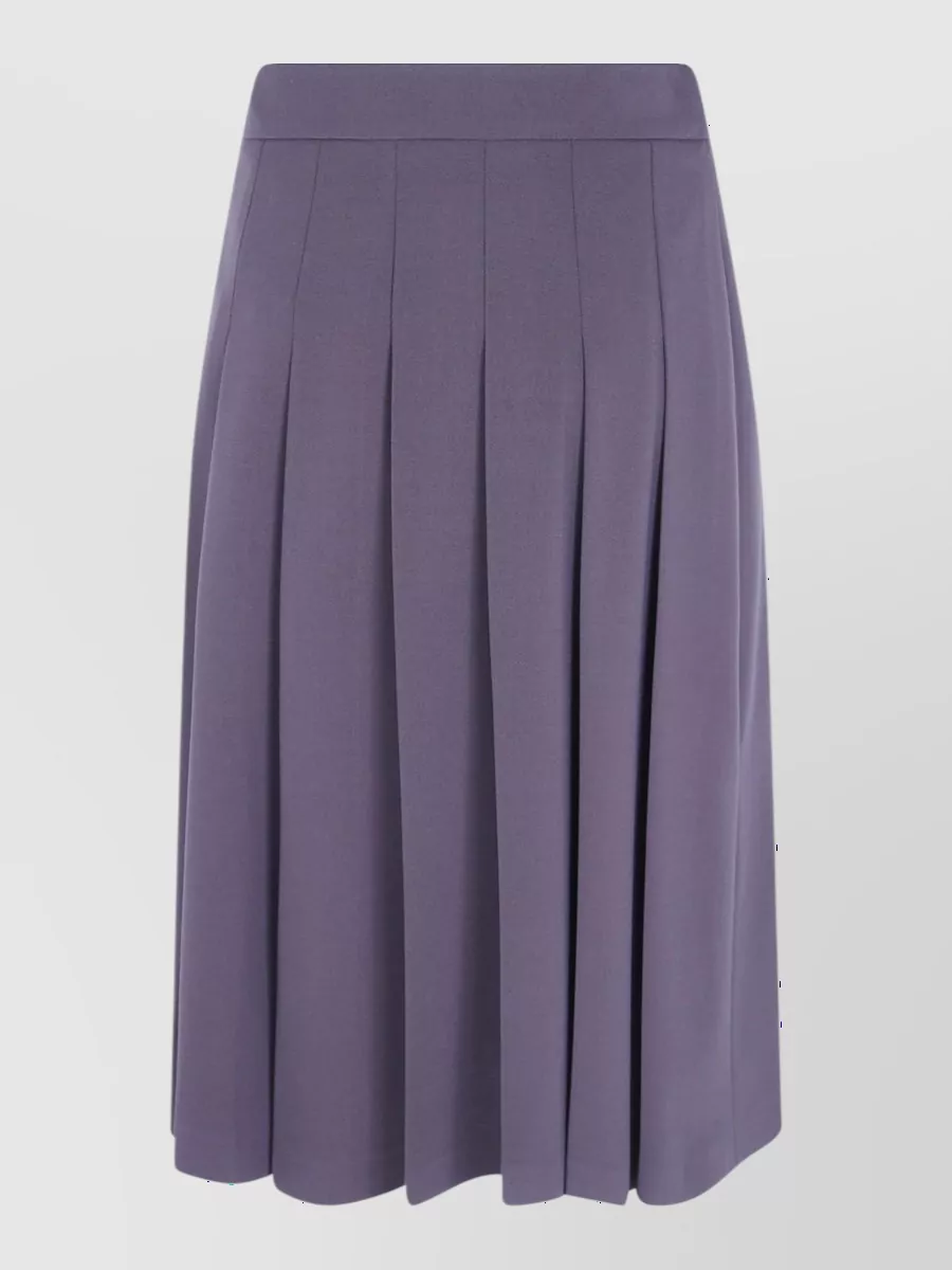 Drhope Pleated Skirt