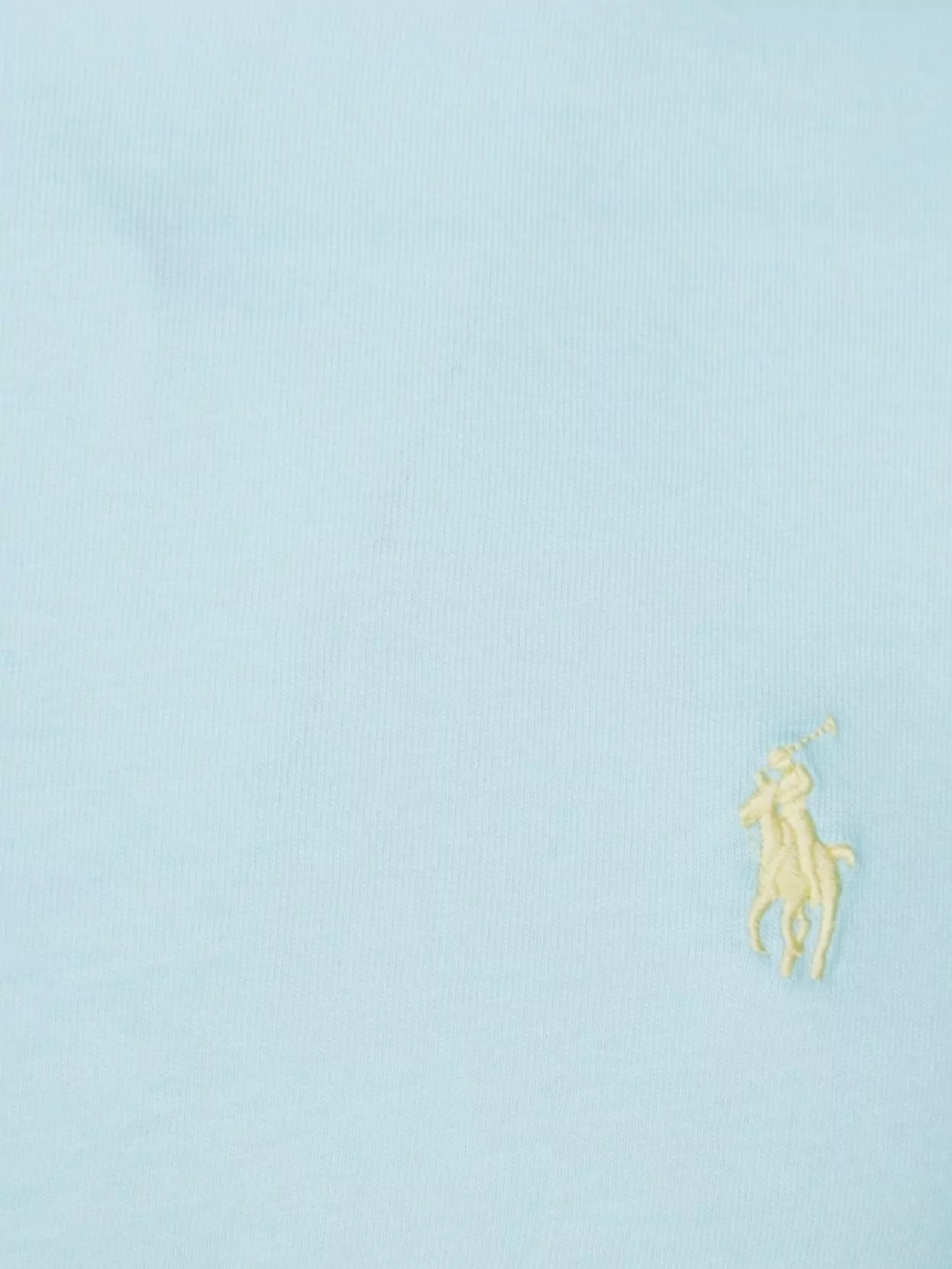 Polo Ralph Lauren Crew Neck T-Shirt In Soft Fabric