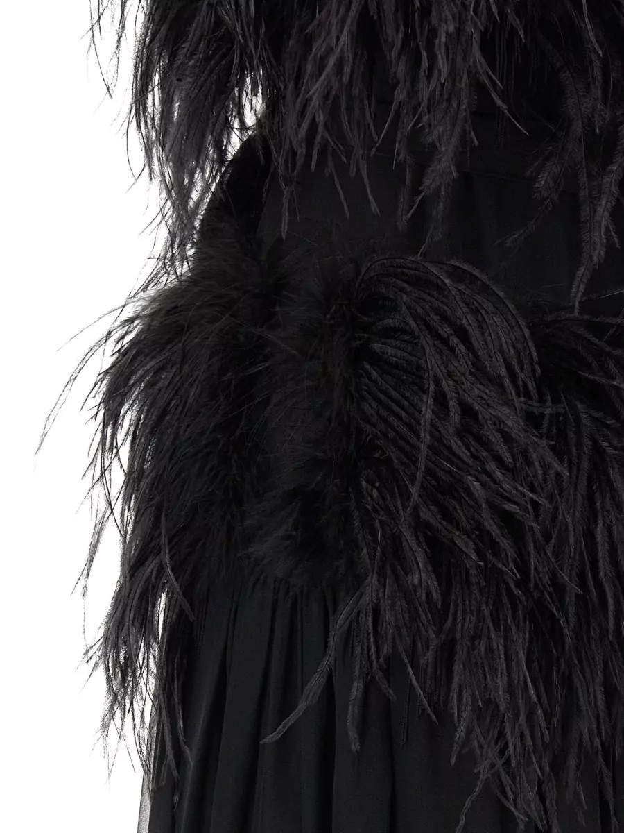 Alberta Ferretti Silk Chiffon Feather-Embellished Sleeveless Maxi Dress