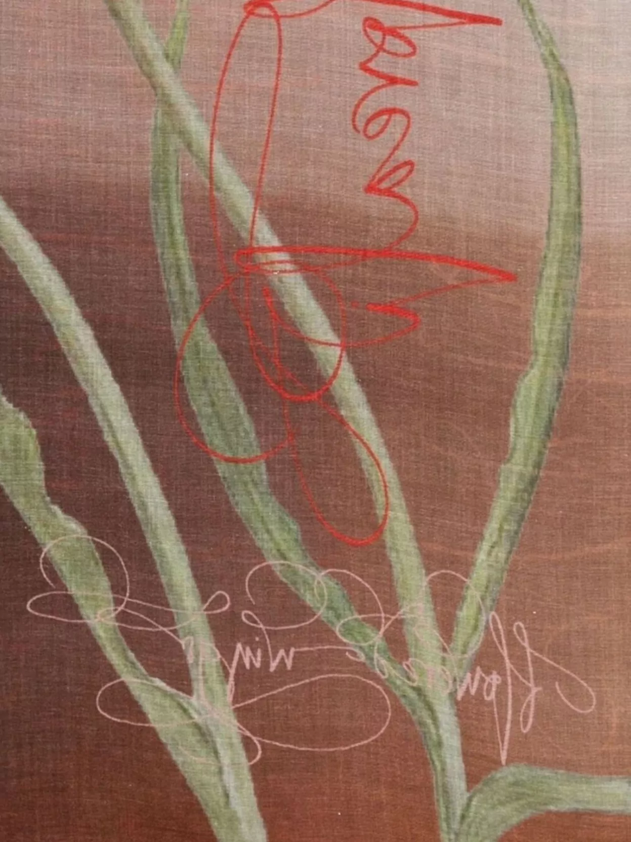 Faliero Sarti Floral-print Silk Scarf