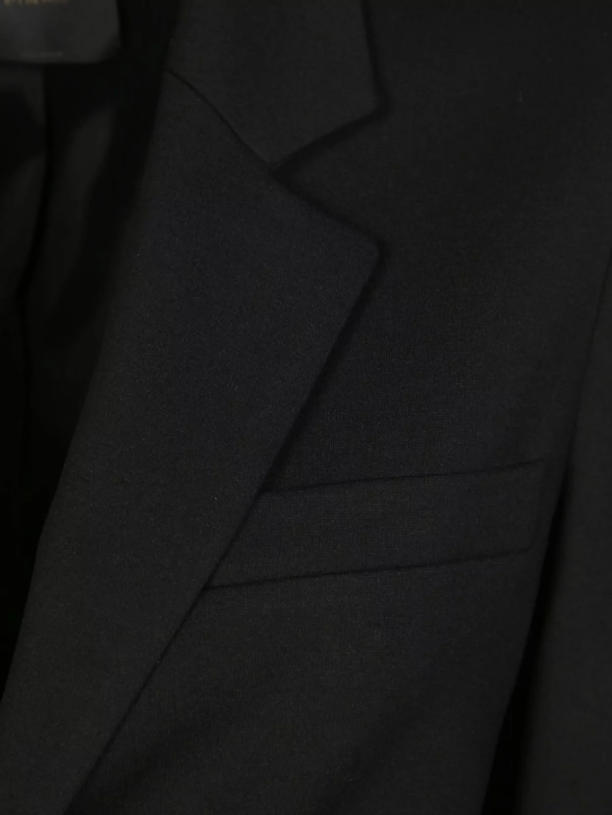 Pinko Fabric Point Jacket Back Vent In Black