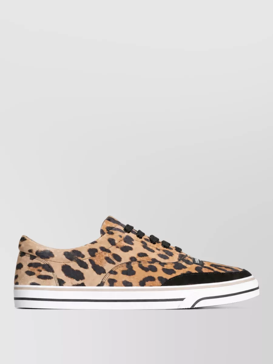 Dolce&Gabbana Leopard-Print Calfskin Low-Top Sneakers