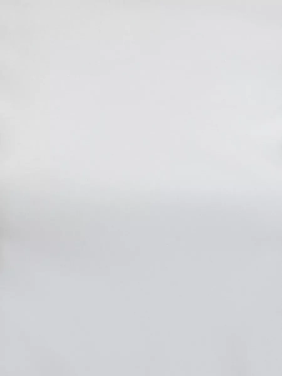 Max Mara Cotton Crew-Neck Short-Sleeve T-Shirt