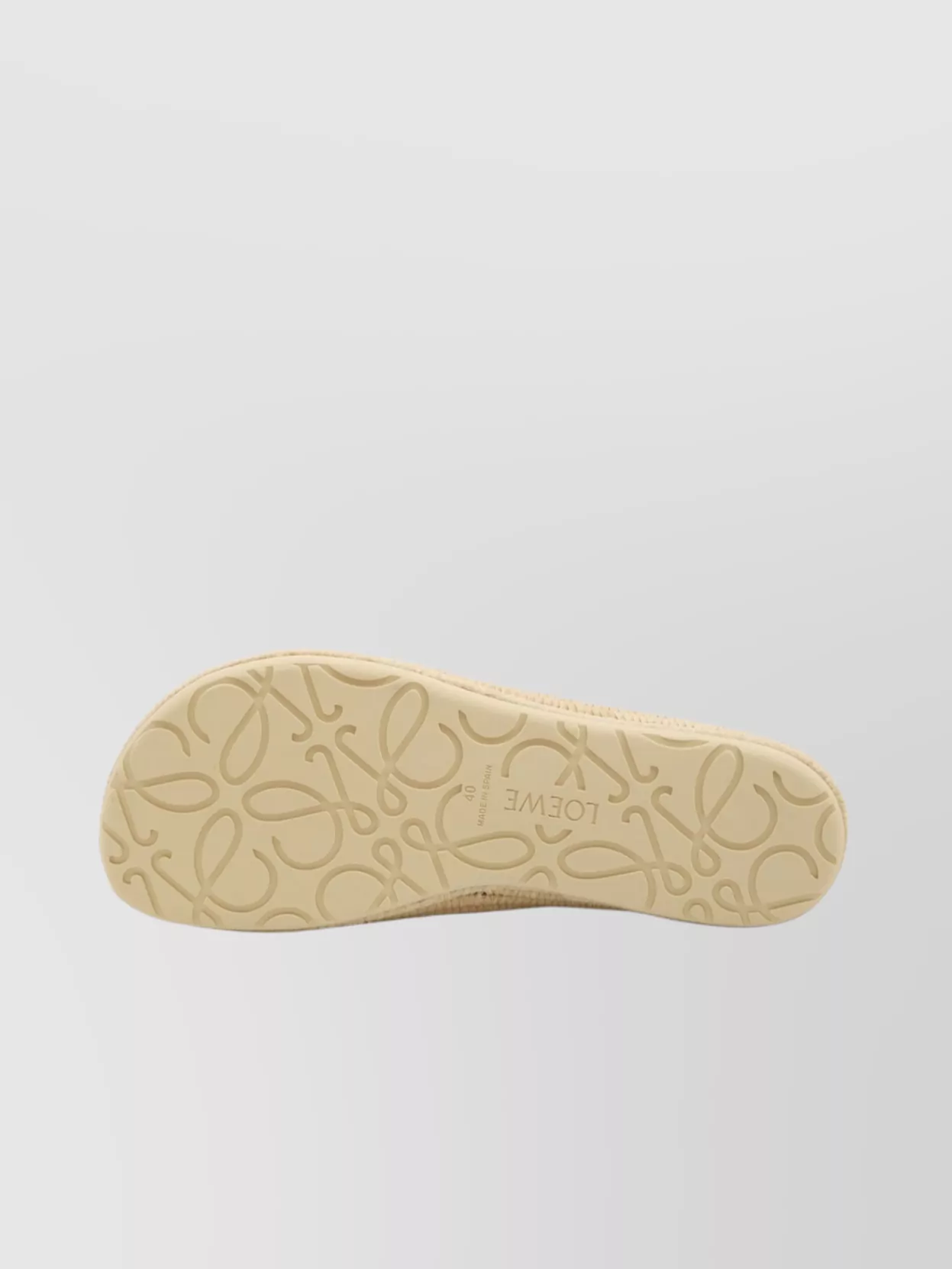 Loewe Lace Up Slippers Raffia Sole