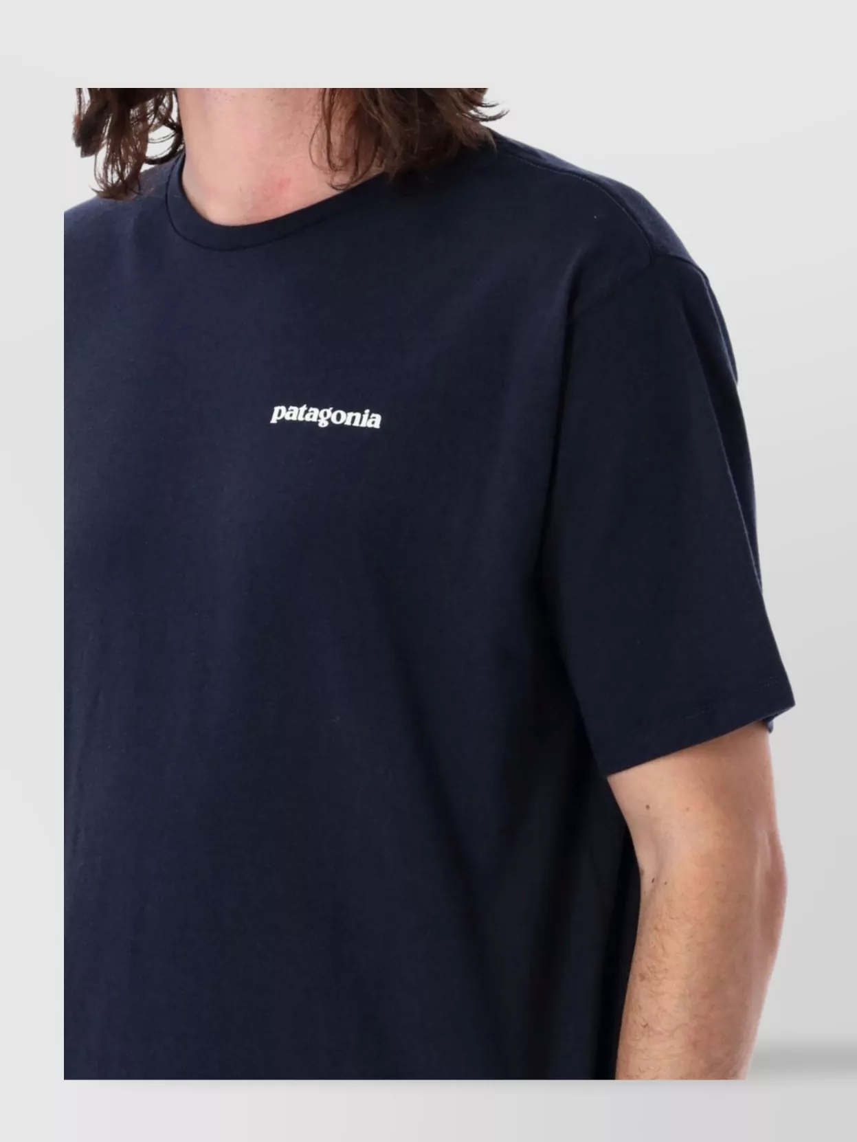 Patagonia Crew Neck Graphic Print T-Shirt