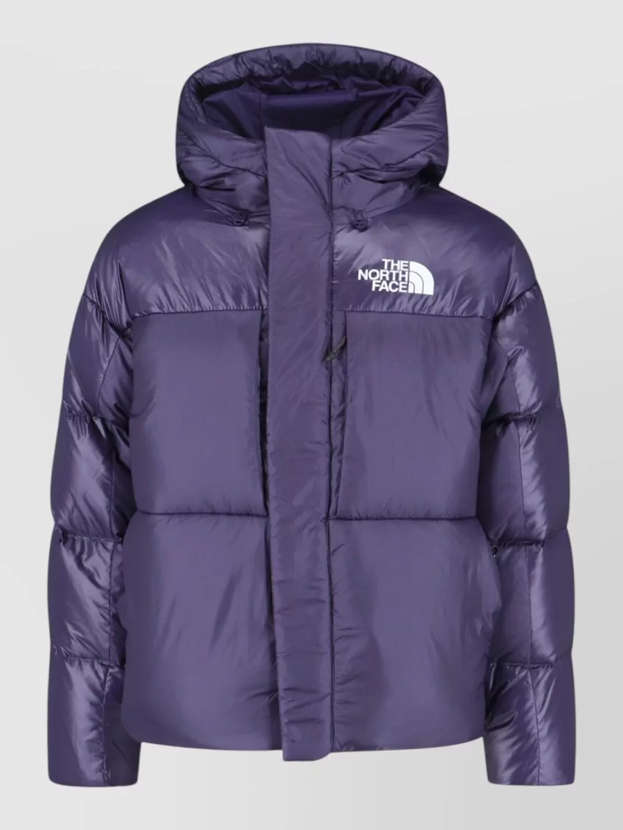 The North Face parka coat