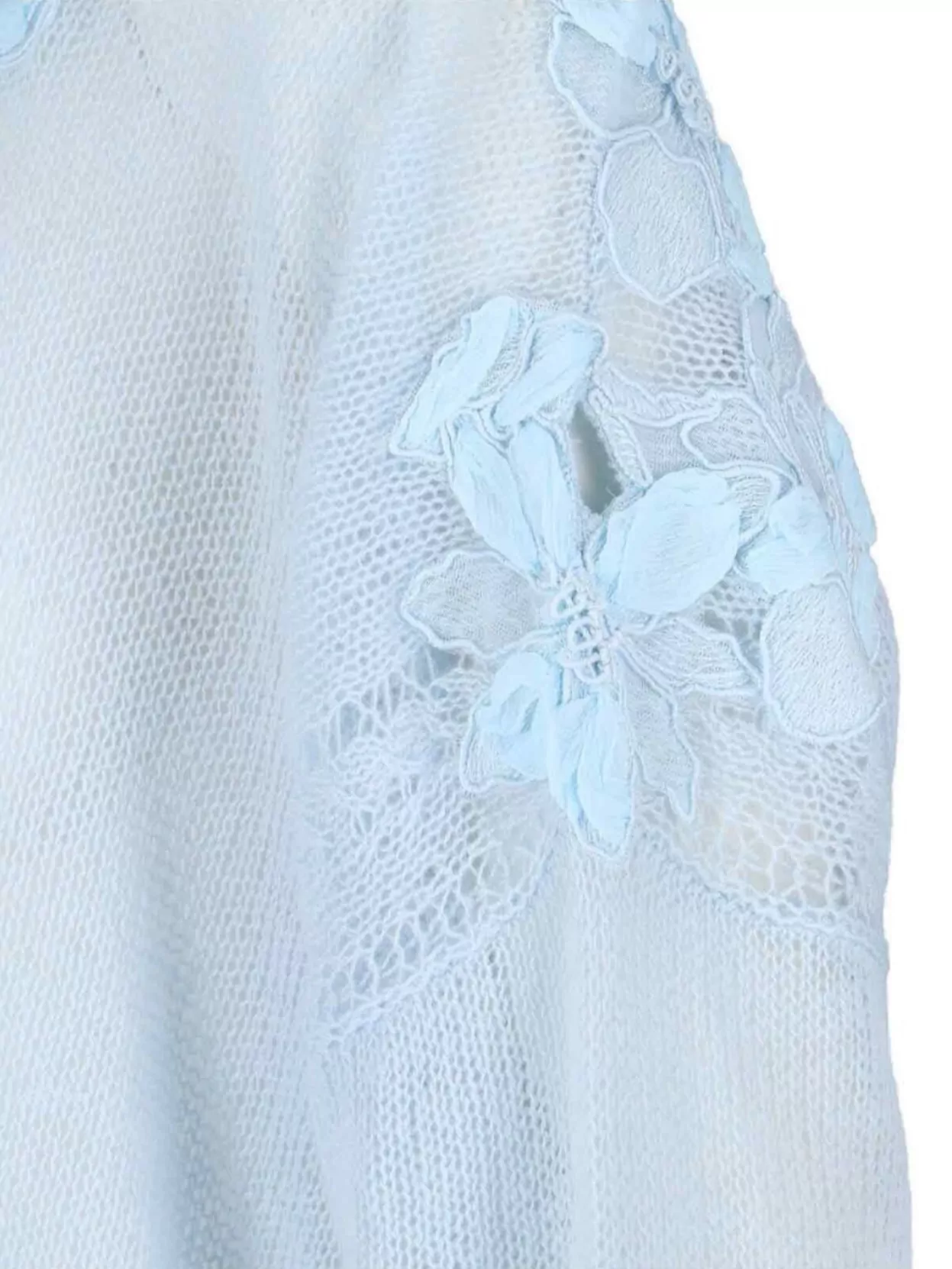 Ermanno Scervino Floral Embellished Sheer Knit Crewneck
