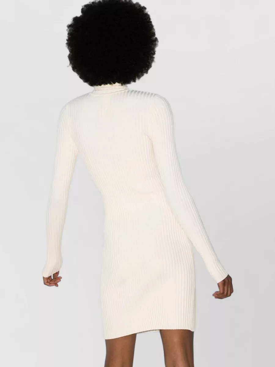 Wolford Wool Ribbed Fitted Long-Sleeve Mini Dress
