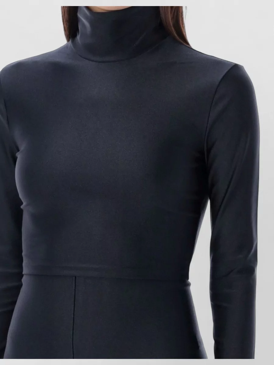 The Andamane Fitted Turtleneck Crop Top With Long Sleeves