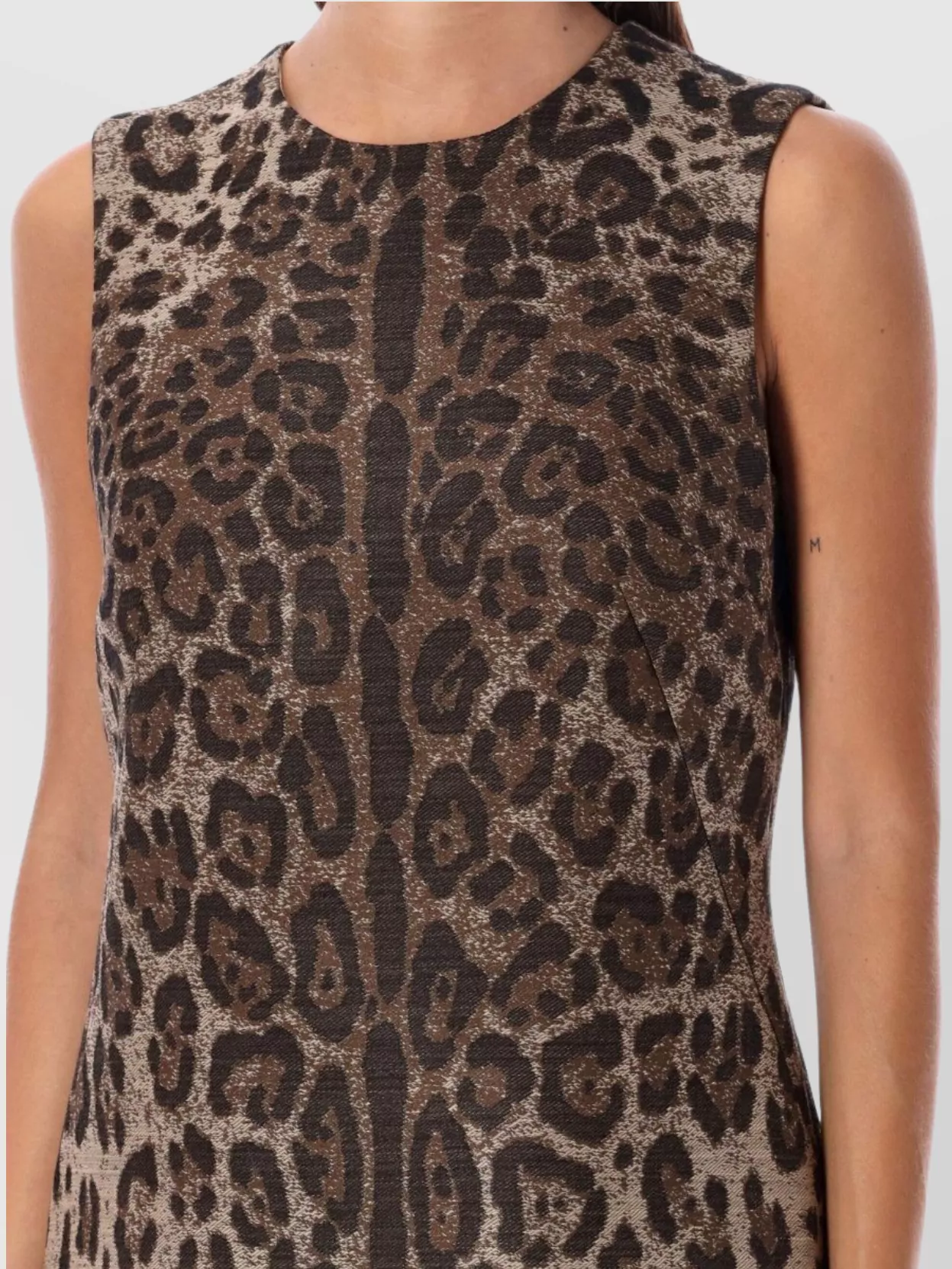 Dolce&Gabbana Leo Animal Print A-Line Dress