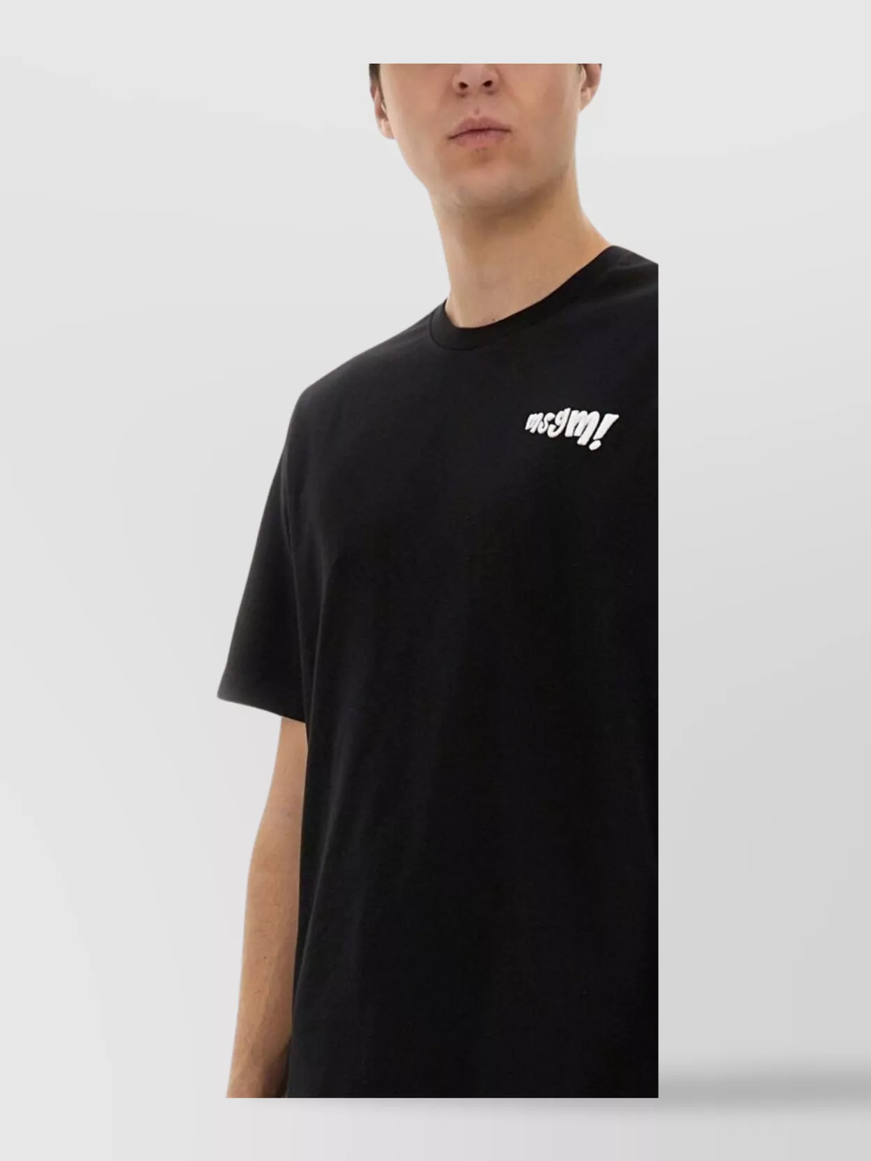 Msgm Logo Embroidered T-Shirt With Crew Neck