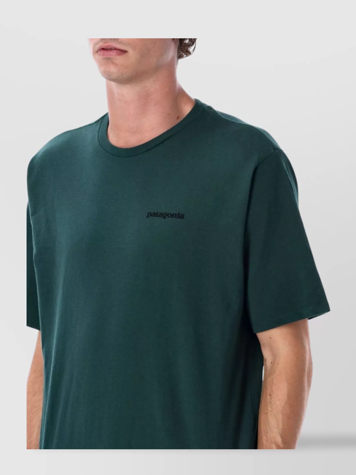 Patagonia Graphic Logo Short Sleeve T-Shirt