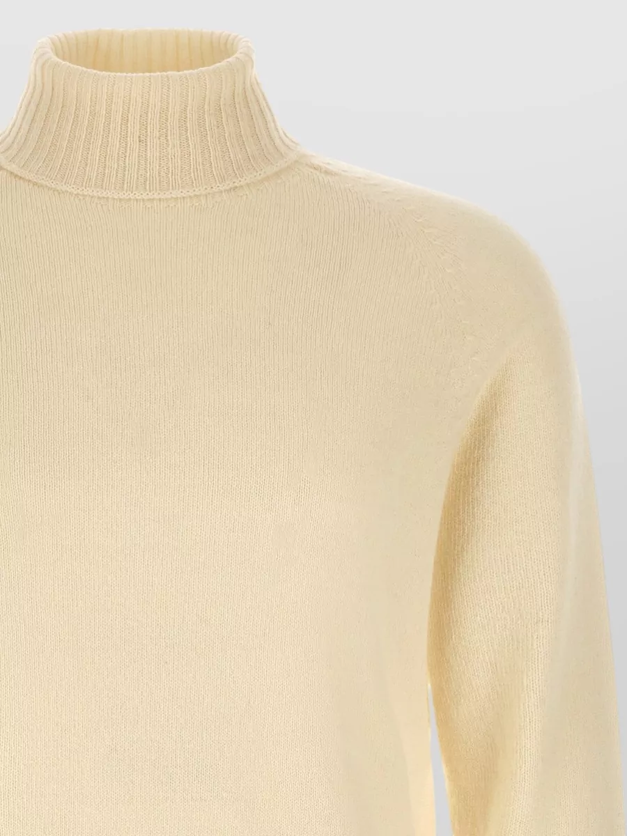 Ma'ry'ya Cashmere Wool Ribbed High Neck Sweater