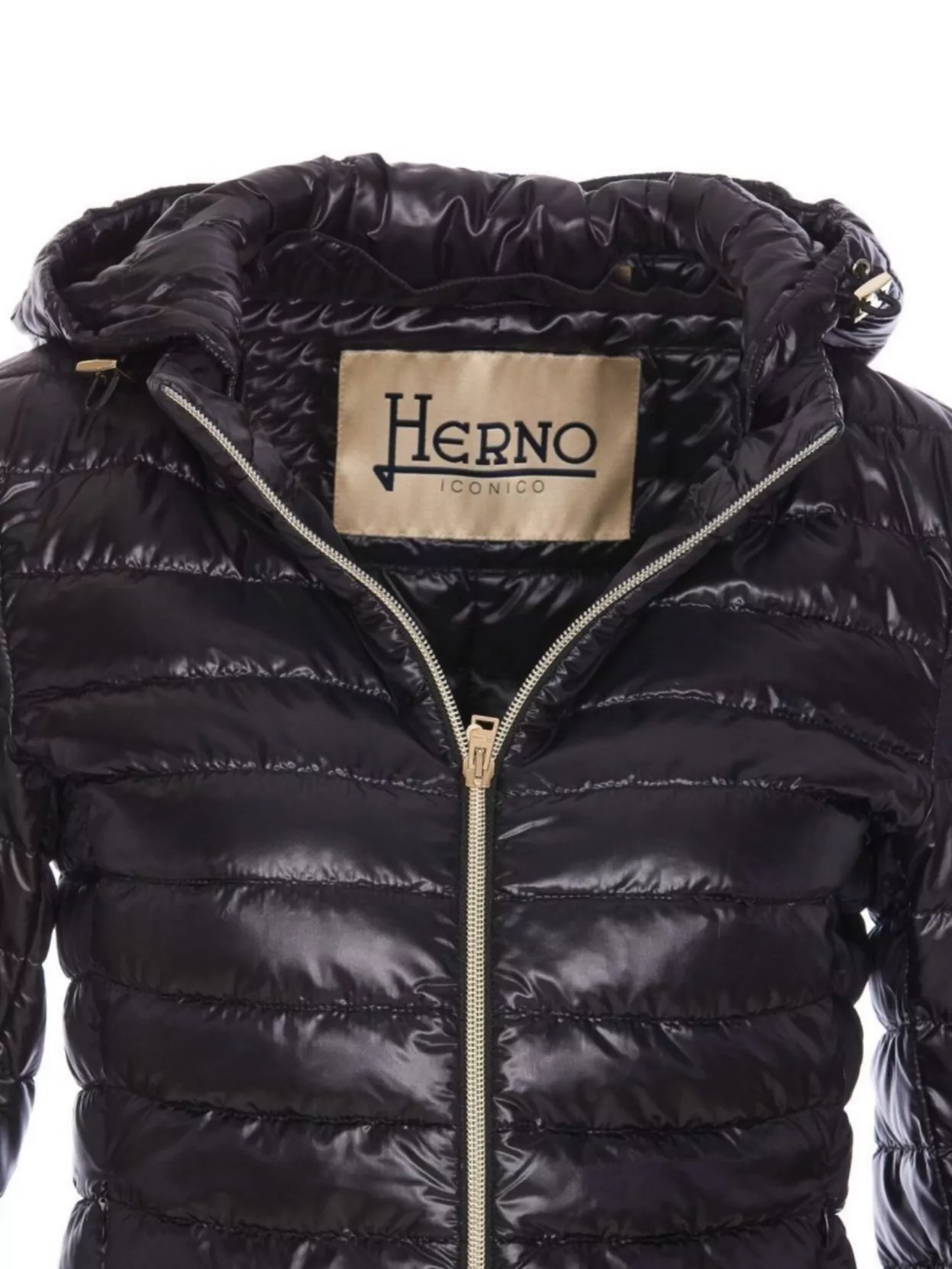 Shop Herno Light Down Jacket Hood Detail In Black