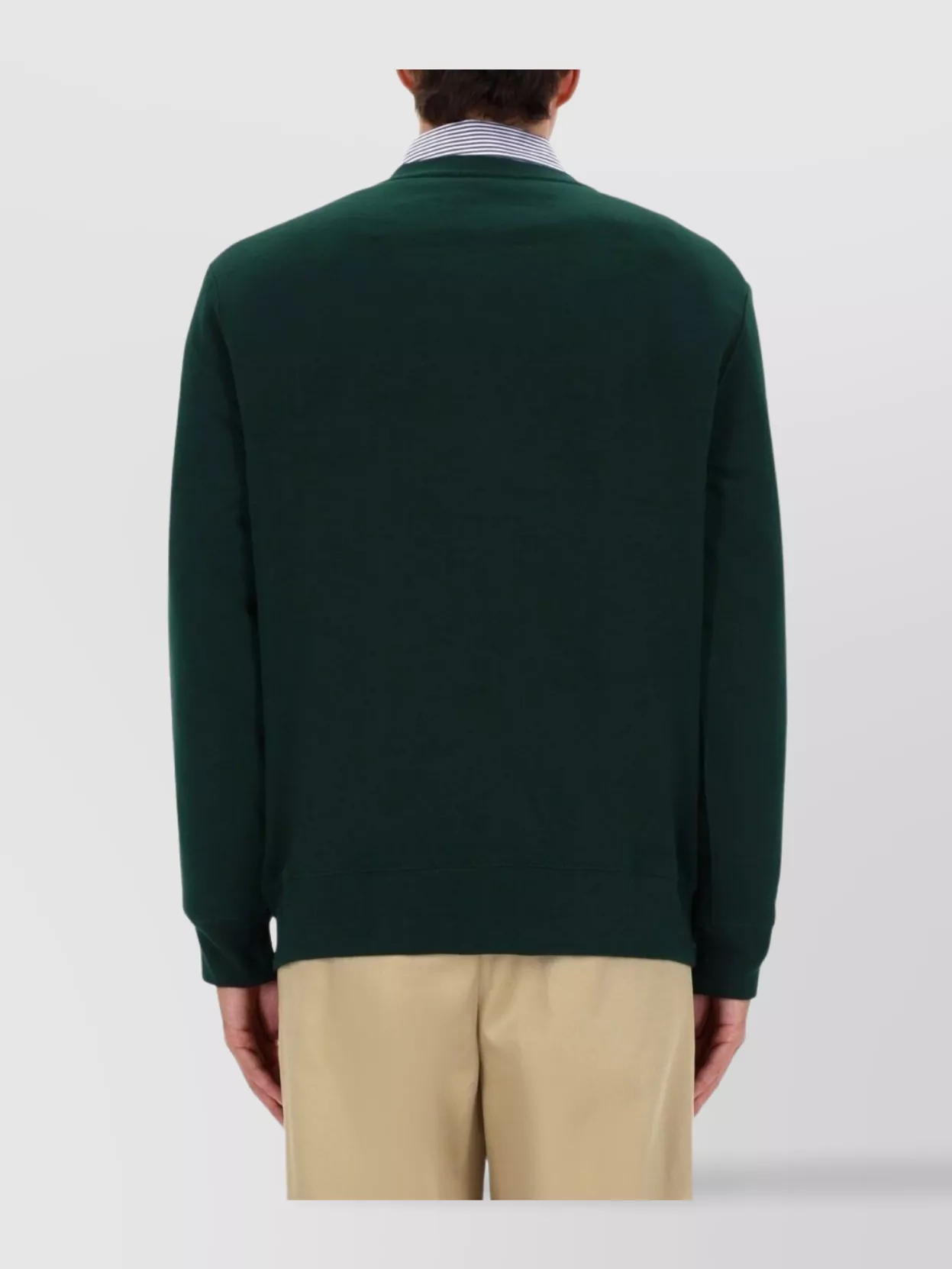 Polo Ralph Lauren Crew Neck Bear Graphic Knit Sweater
