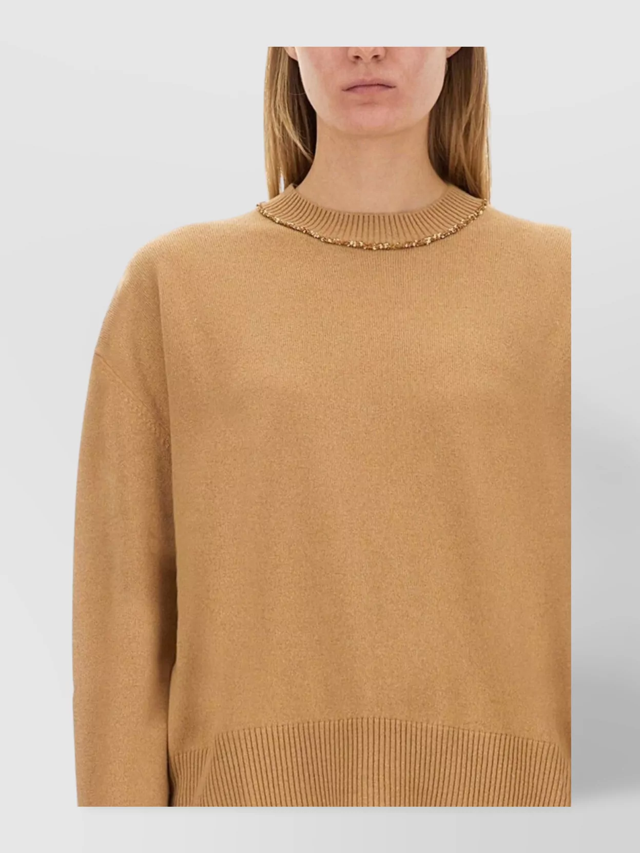 Fabiana Filippi Embellished Knit Crew Neck Sweater